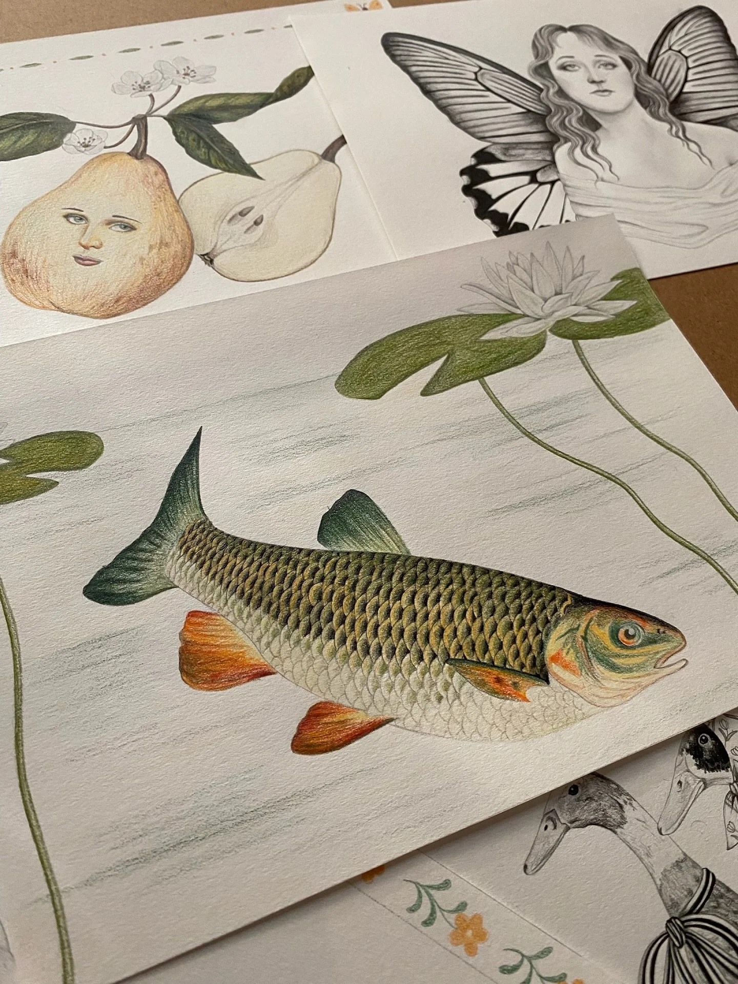 Another drawing for the calendar, very happy with how this guy came out! 🐟 I&rsquo;m about halfway through these illustrations and having lots of fun working on them, it&rsquo;s nice to draw something that&rsquo;s not flash ✨

#vintagedrawing #vinta