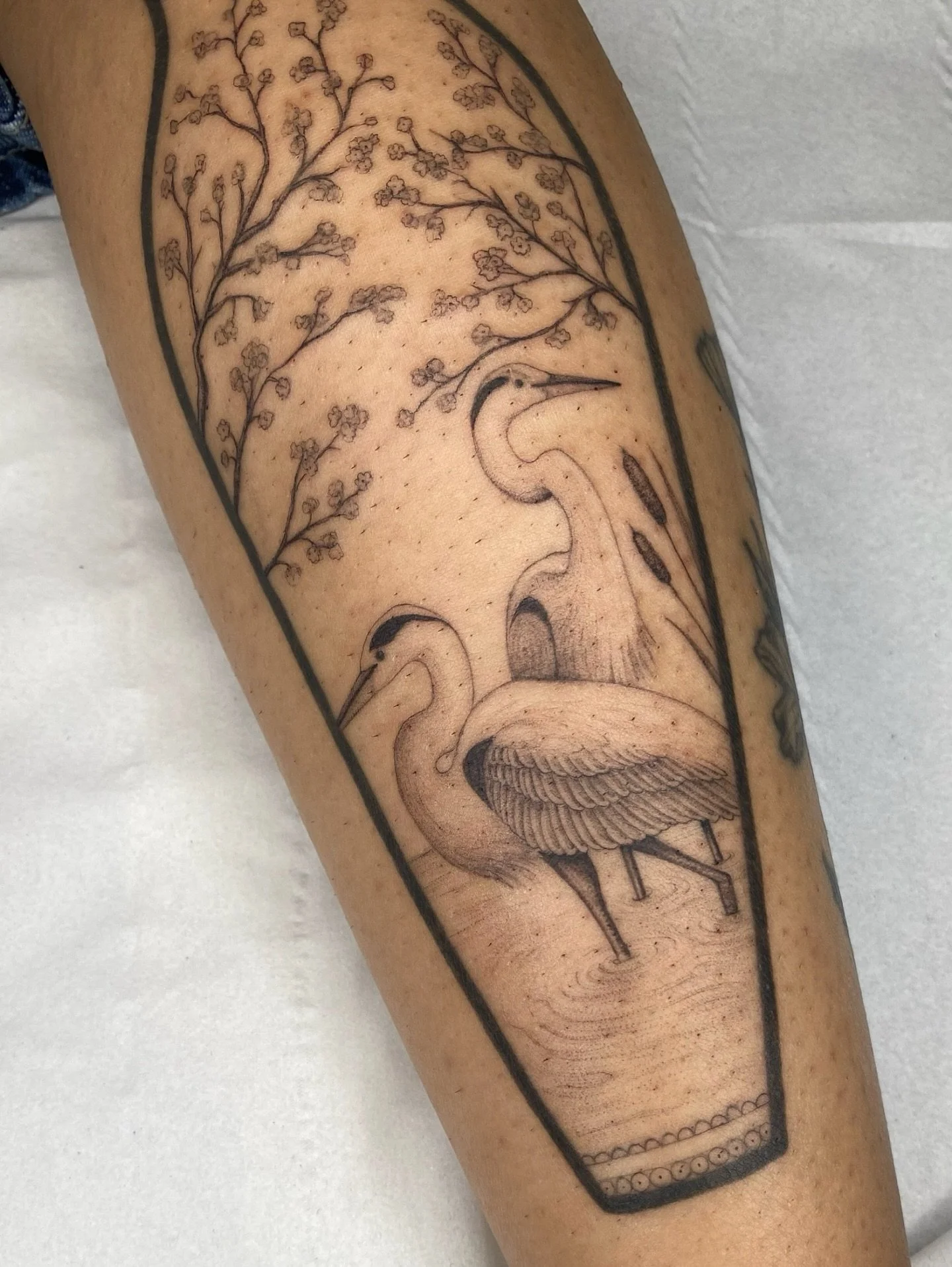 Started the shading on Maggie&rsquo;s leg ✨ outlines are healed including the black vase outline 
Can&rsquo;t wait to continue!

I would love to do more of these big leg pieces, get in touch if you&rsquo;d like to discuss ideas &hearts;︎

@tangerined