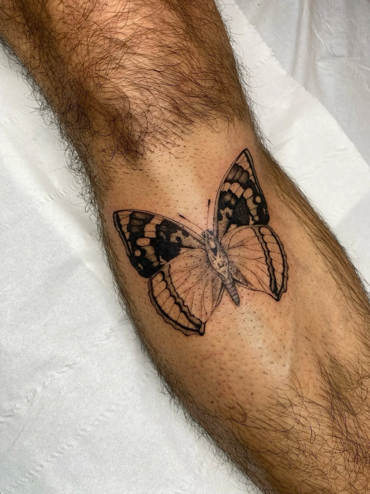 Made a little while ago for Tom, thank you so much! 
Swipe to see the flash sheet, some of them haven&rsquo;t been done and I&rsquo;d love to tattoo them 🫶 

Made @tangerinedreamsstudio 

#butterfly #butterflytattoo #legtattoo #blackworktattoos #fin