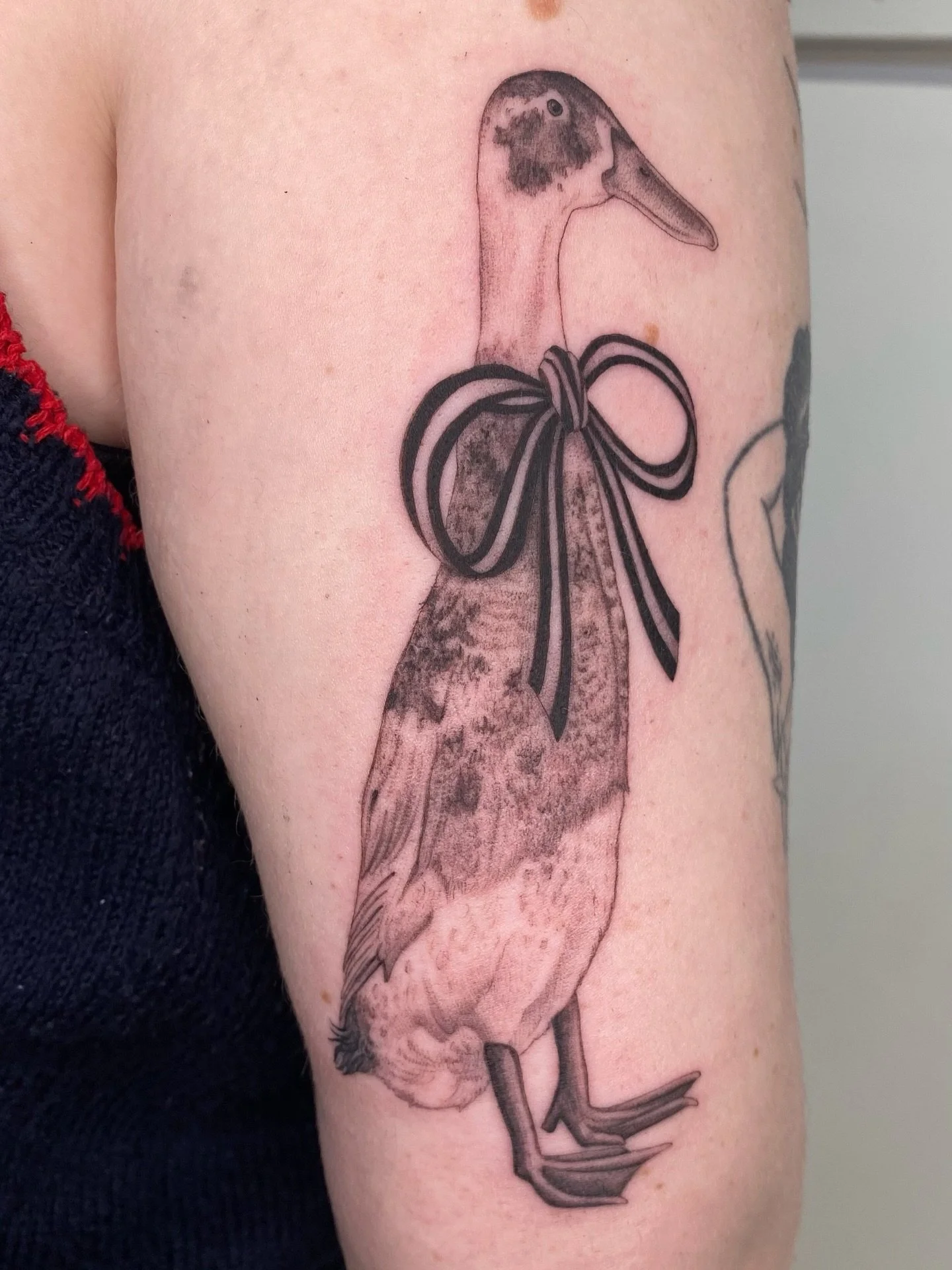 This little guy is one of the last tattoos I made this year, thank you so much Grace! This was so much fun 🦆🧡 I would love to do more ducks, some available ones on the last slide, all will be shaded! 

Made at @tangerinedreamsstudio 

#runnerducks 