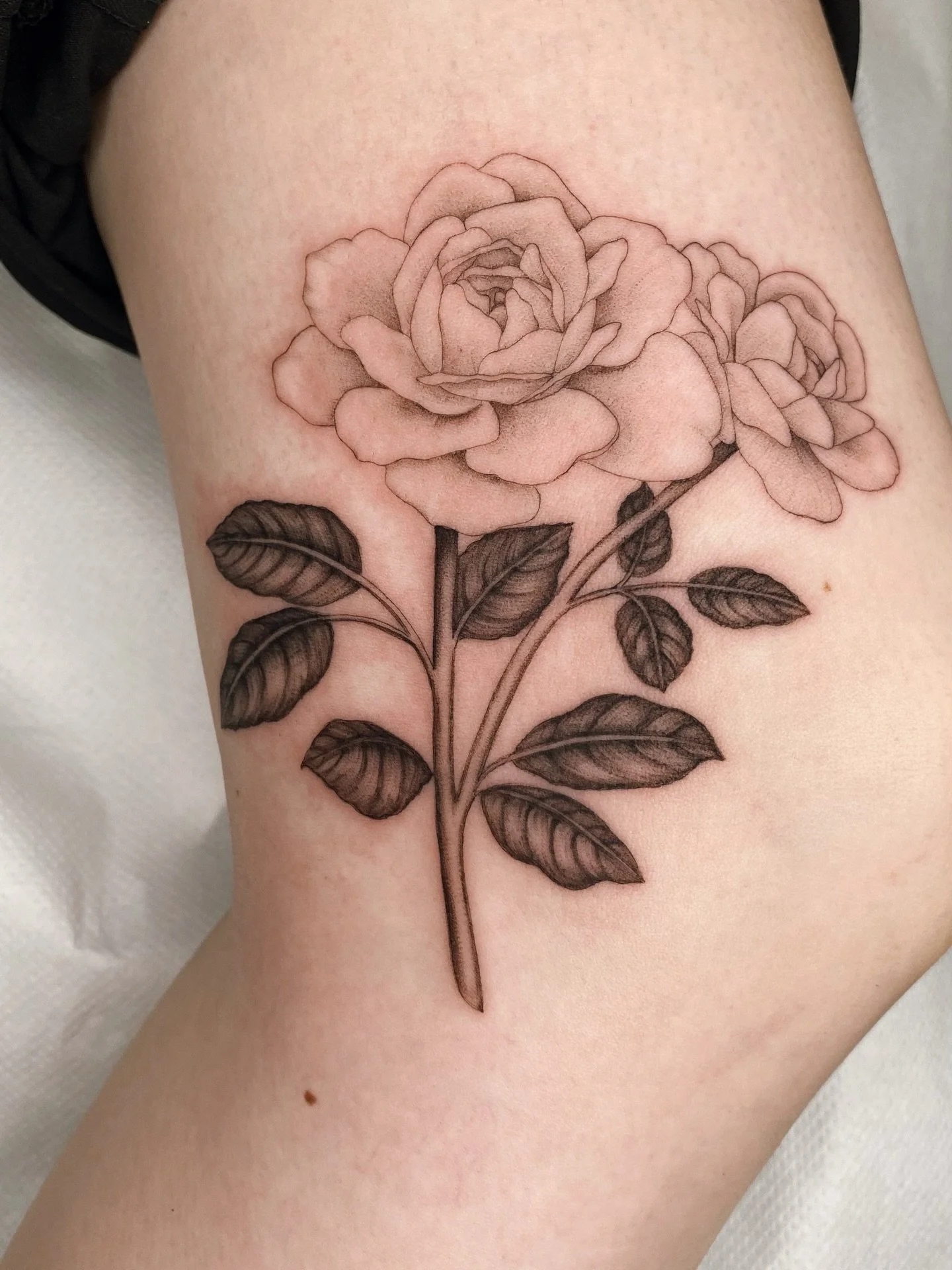 From my flash for Callie, thank you so much for picking this one and this placement ❀
Made at my private studio @tangerinedreamsstudio 

#rosetattoo #rose #finelinetattooartist #fineline #londontattooartist #londontattoo #londondtattoostudio #rosetat