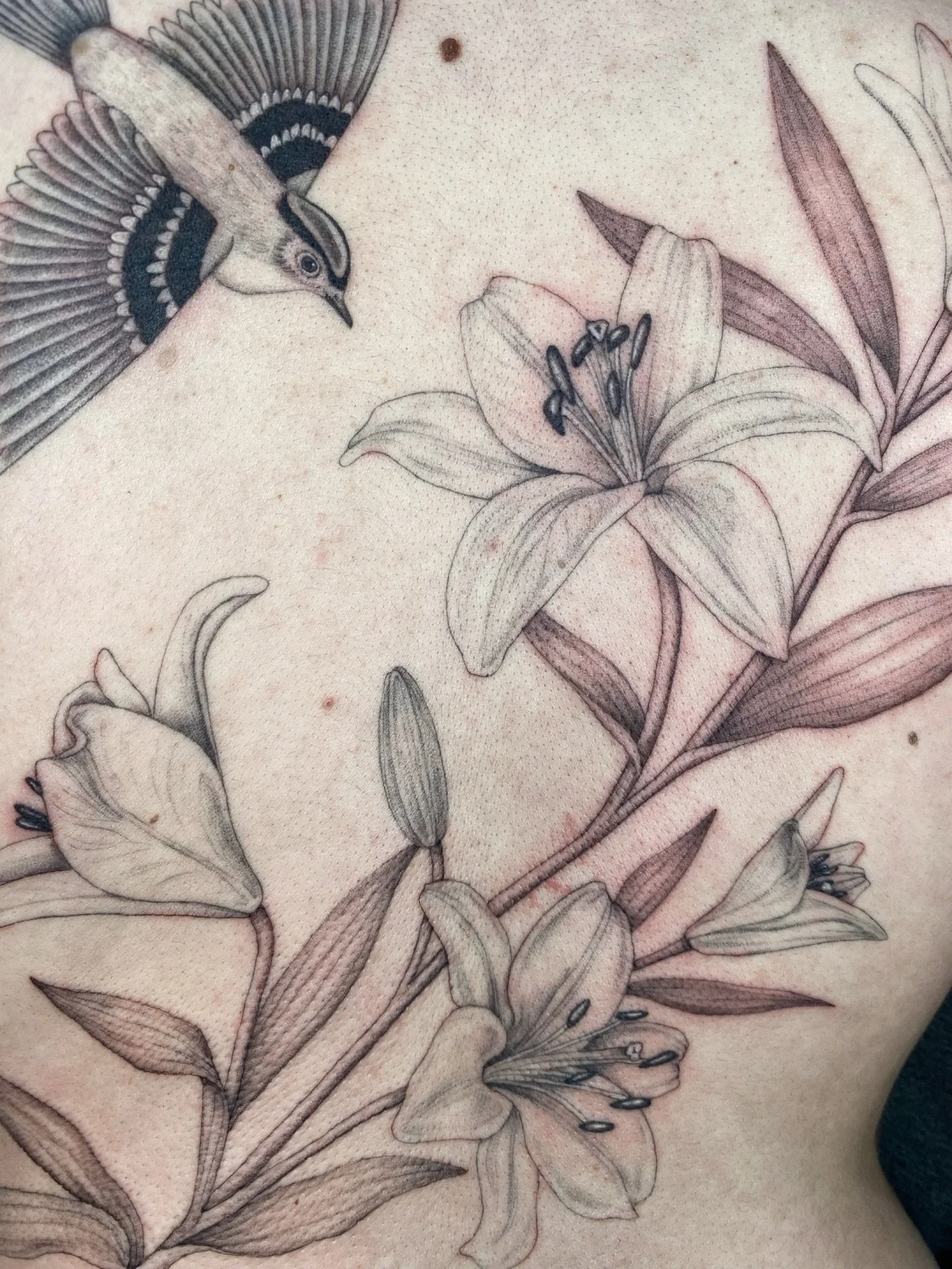 Sharing one of my favourites made last year for Eloise, swipe for some more back pieces I&rsquo;d love to do! 

✤ 350/day for these designs as I&rsquo;d love to add more to my portfolio 
✤ will be adapted to suit your body
✤ multiple sessions needed 