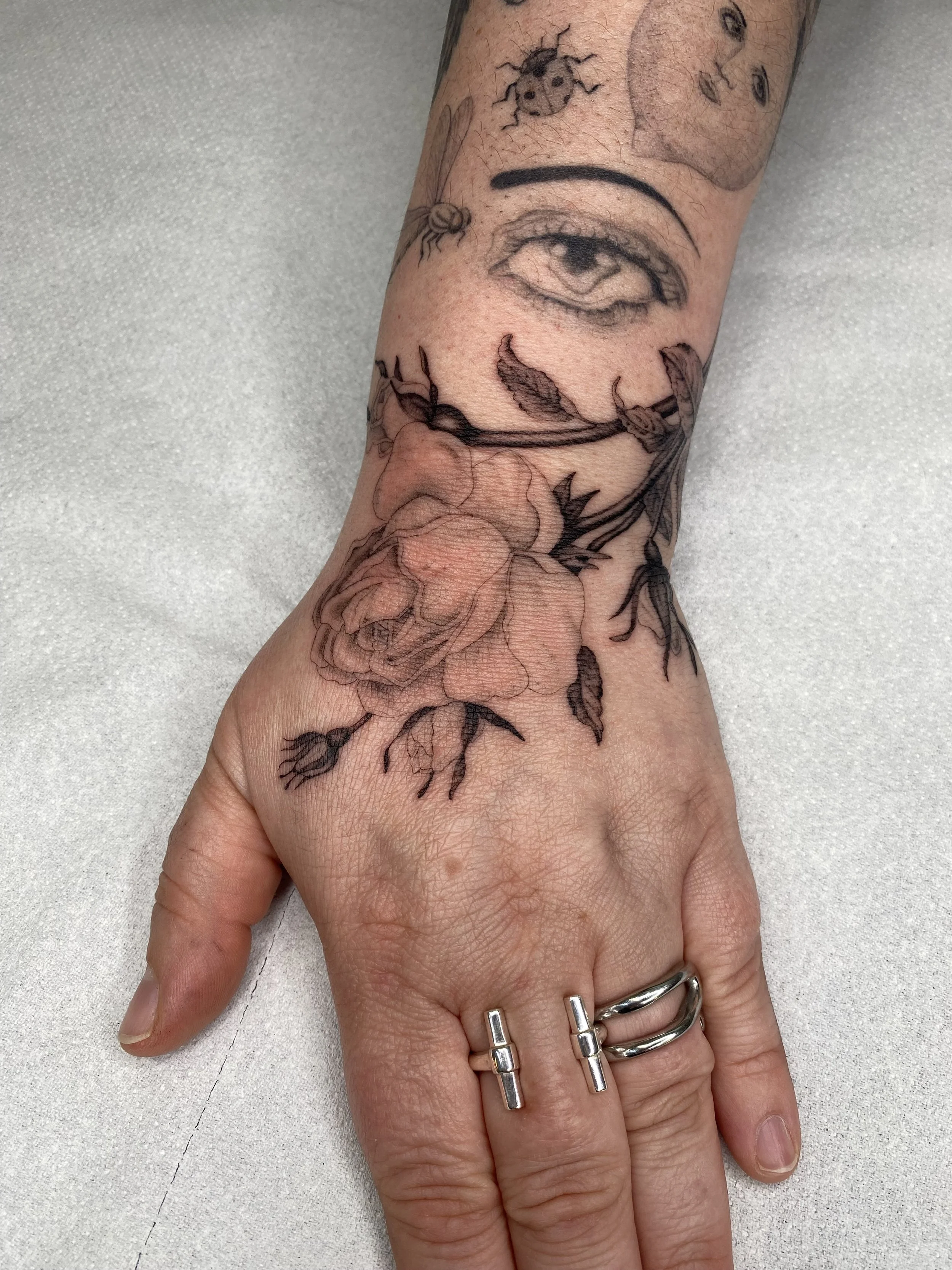 IMG_2659.JPG