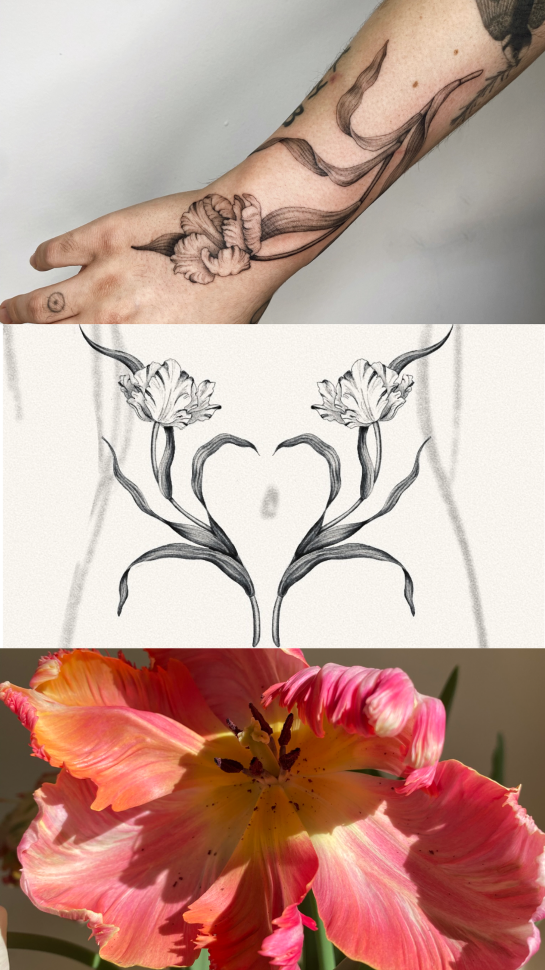 instories_138382A2-8CBD-477A-A67F-4347D01B6A61.PNG