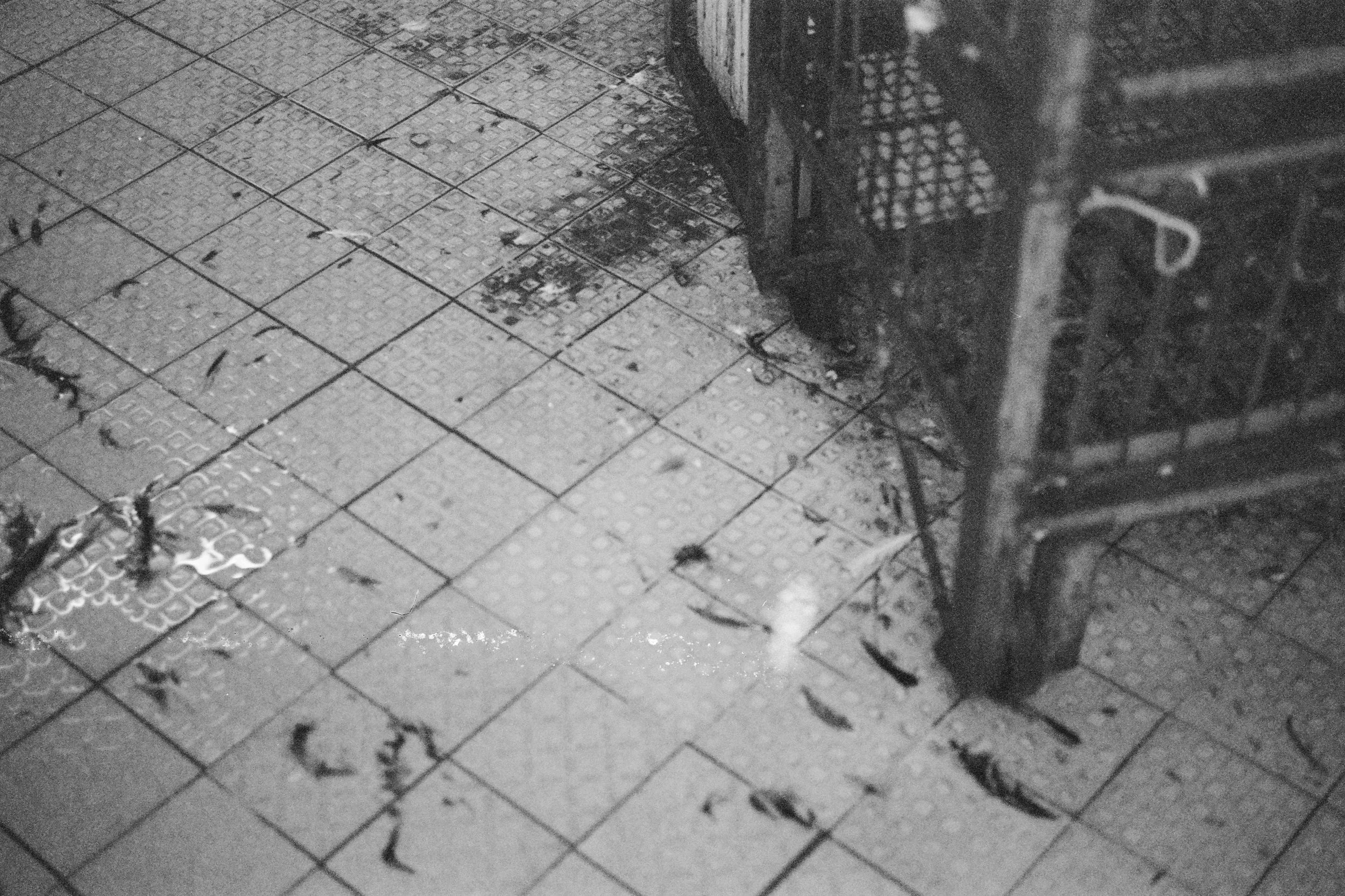 obsolescence-52.jpg
