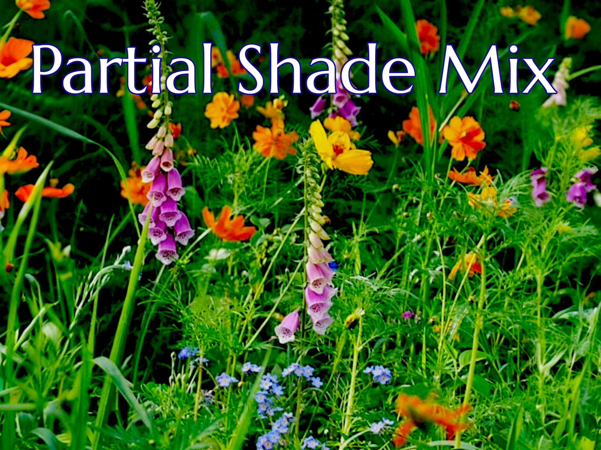 Partial Shade 4.png