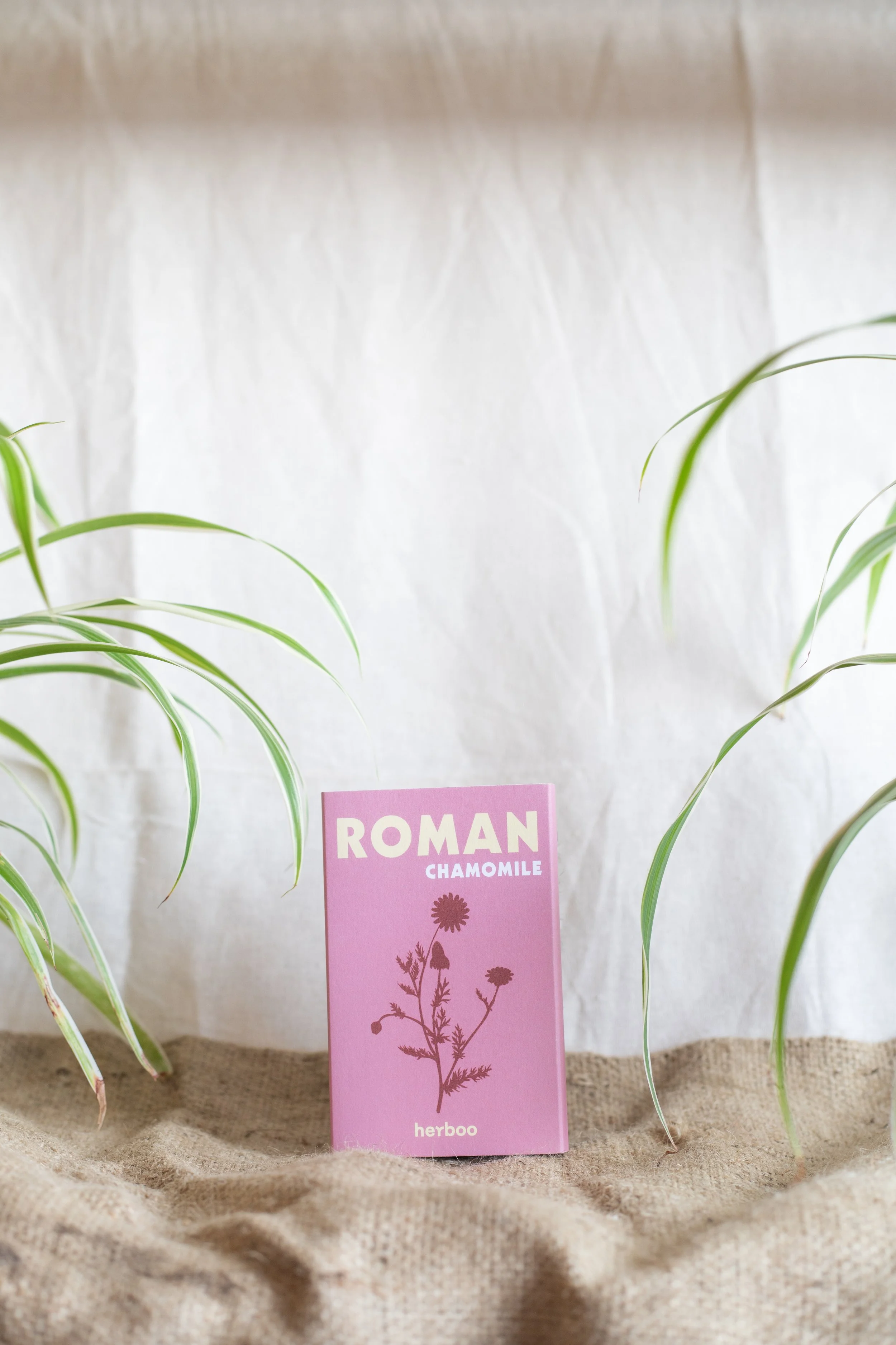 Roman Chamomile (Herboo)