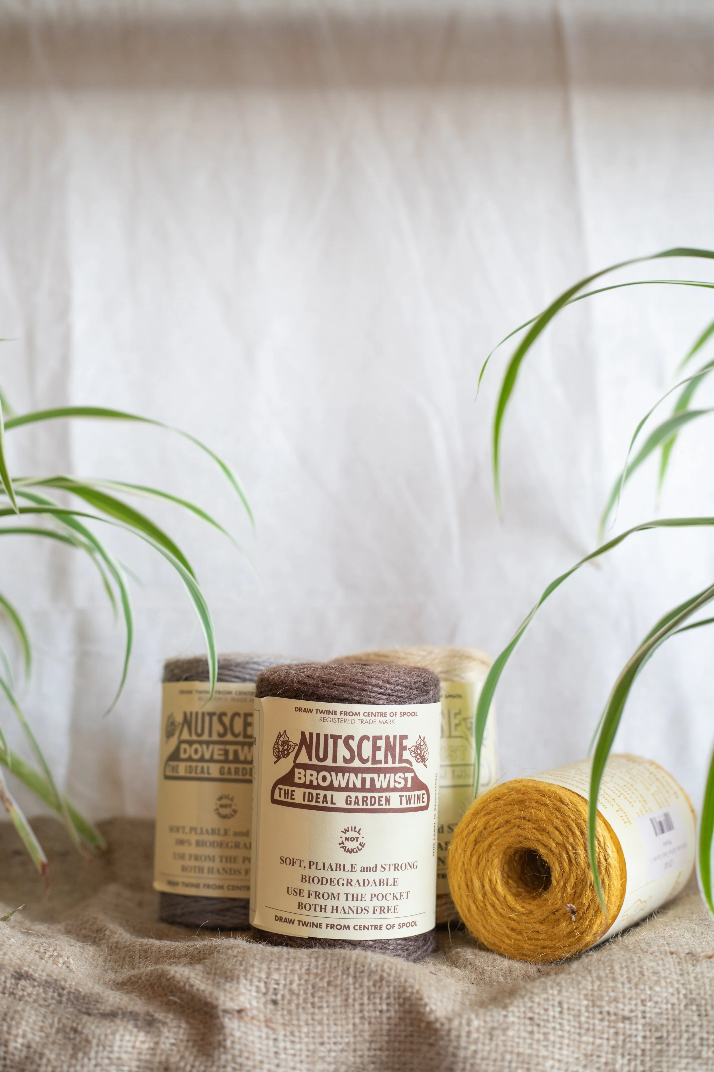 Nutscene twine (Nutscene)