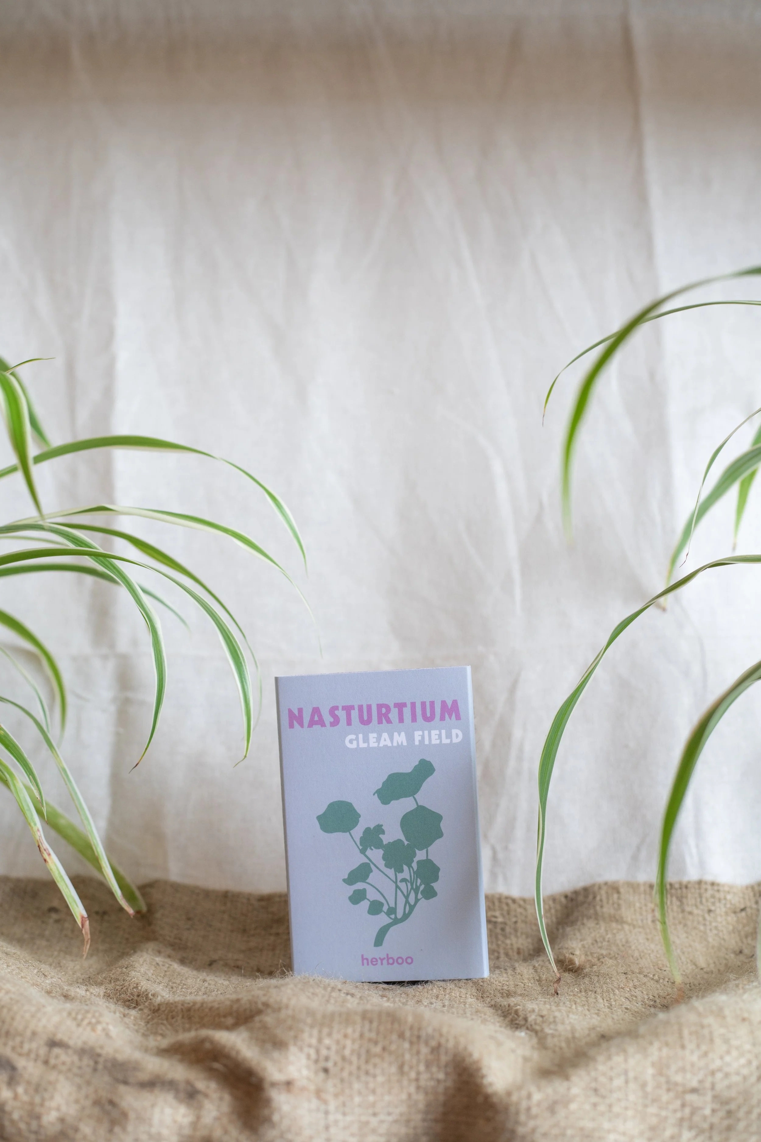 Nasturtium ‘Gleam Field’ (Herboo)