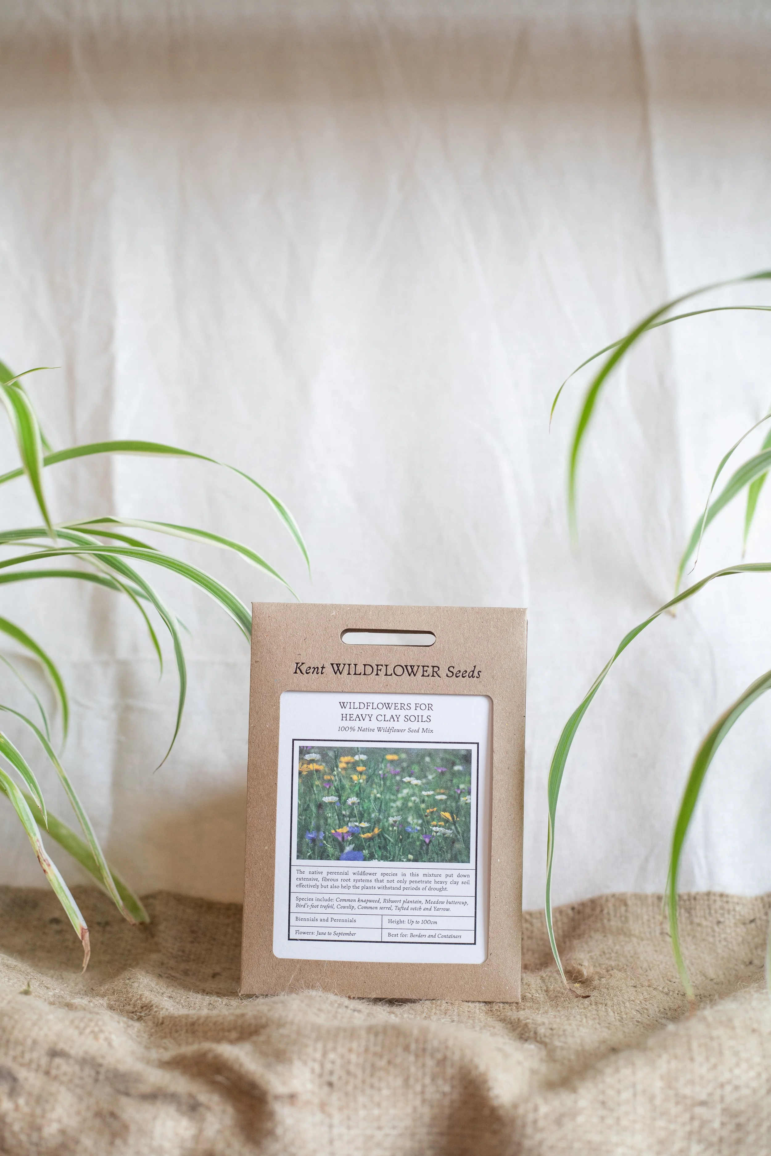 Wildflowers for heavy clay soils (Kent Wildflower Seeds)