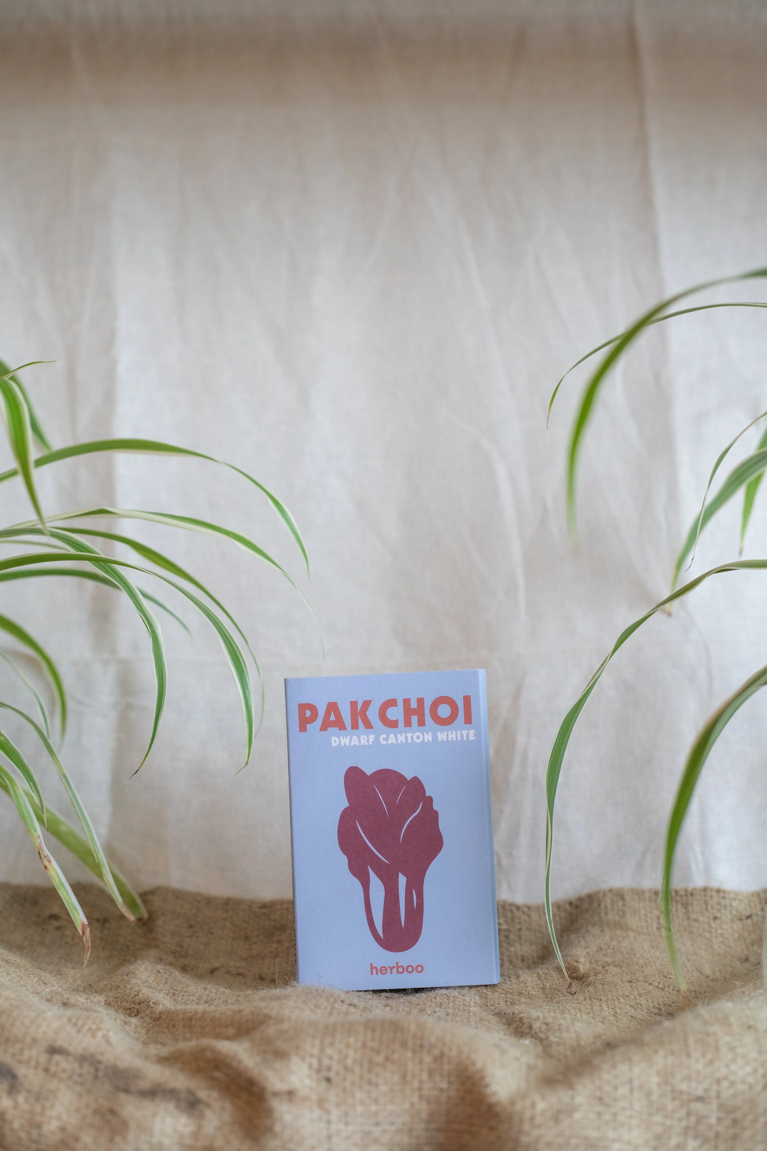 Pak Choi ‘Dwarf Canton White’ (Herboo)