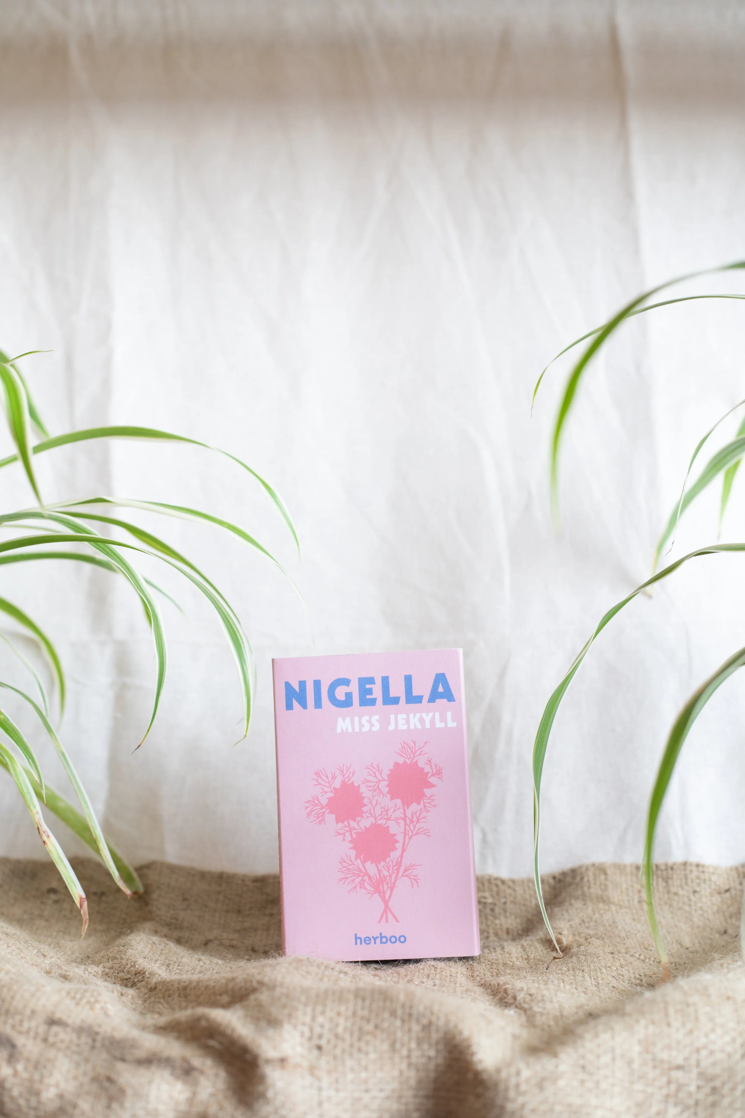 Nigella ‘Miss Jekyll’ (Herboo)