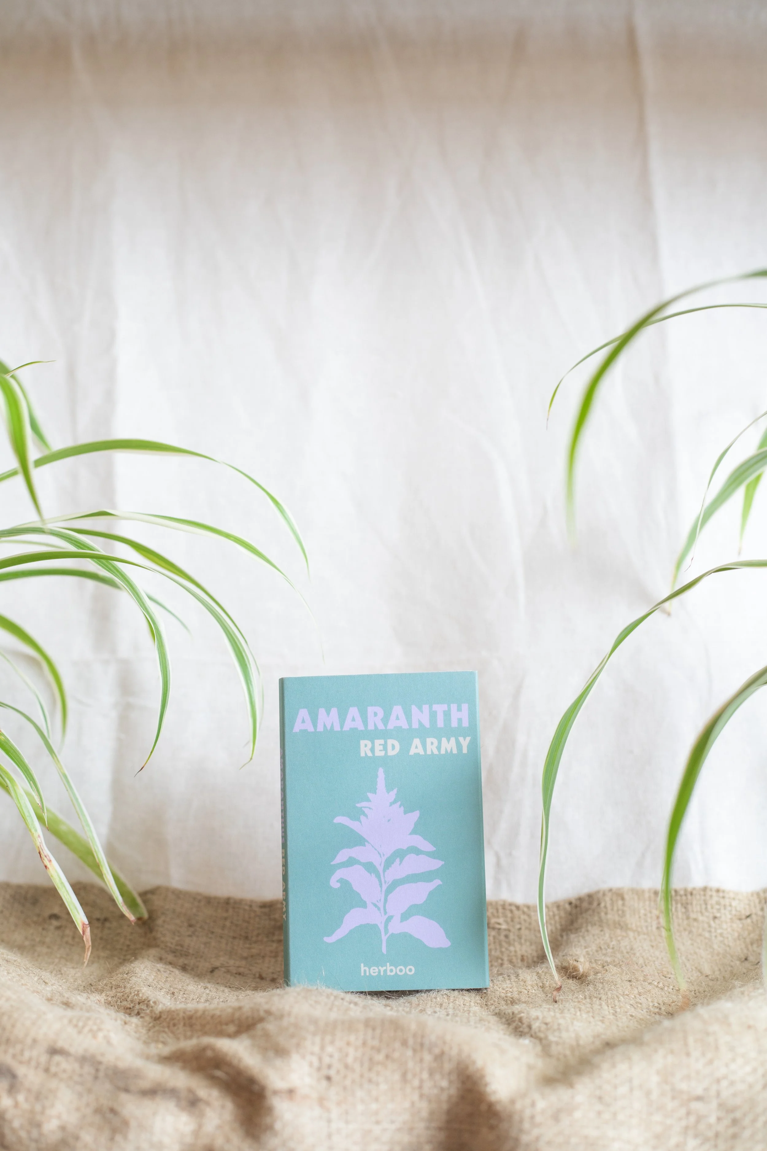 Amaranth ‘Red Army’ (Herboo)