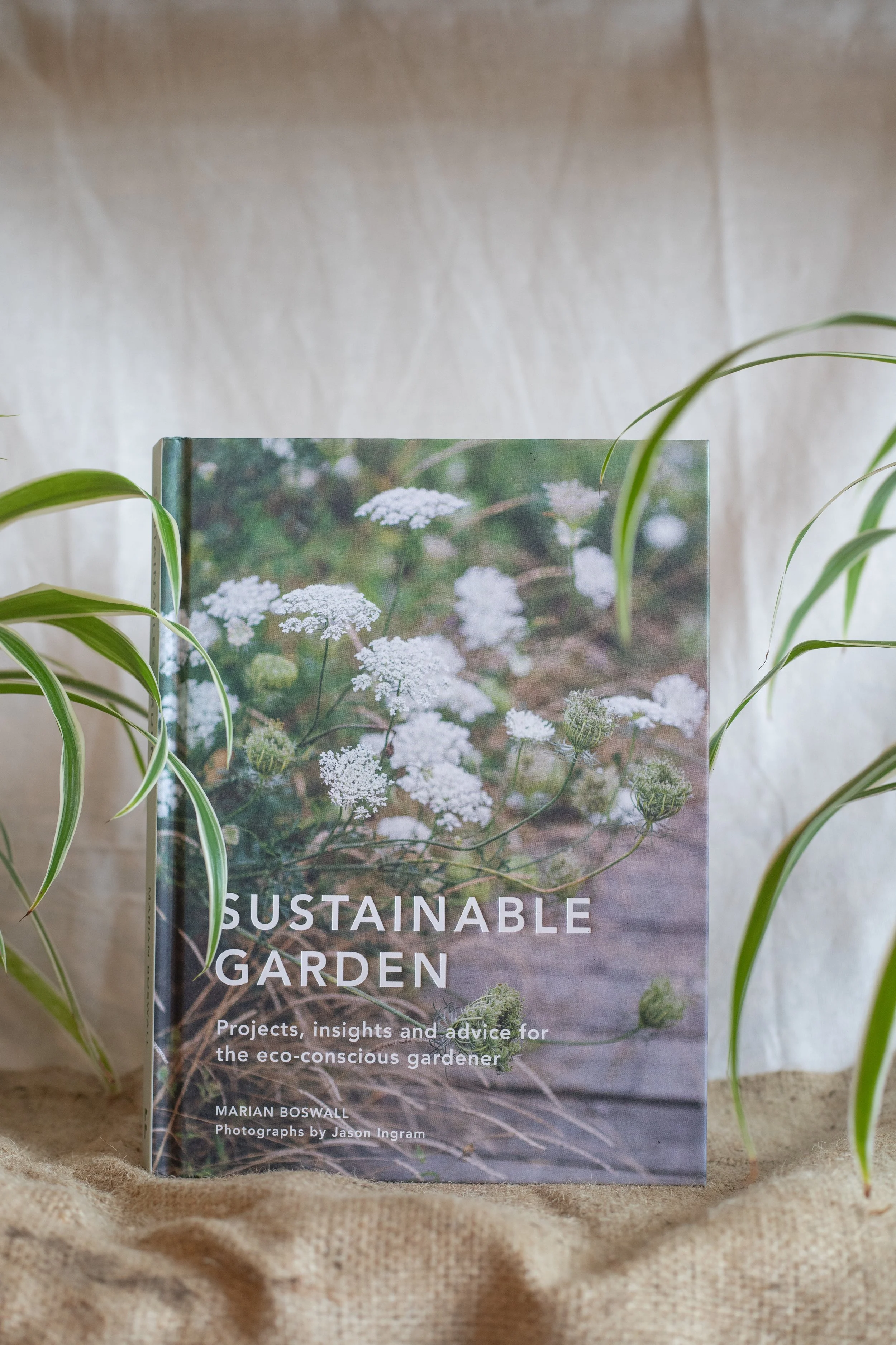 Sustainable garden - Marian Boswall 