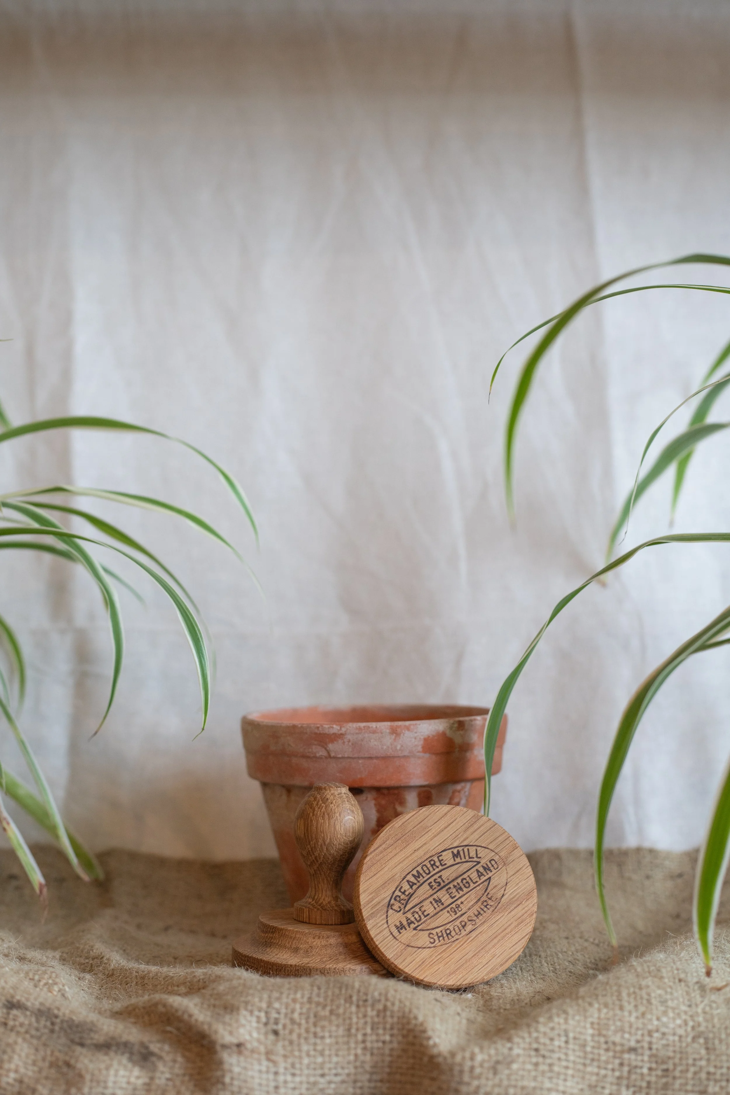 Oak pot tamper (Creamore Mill)