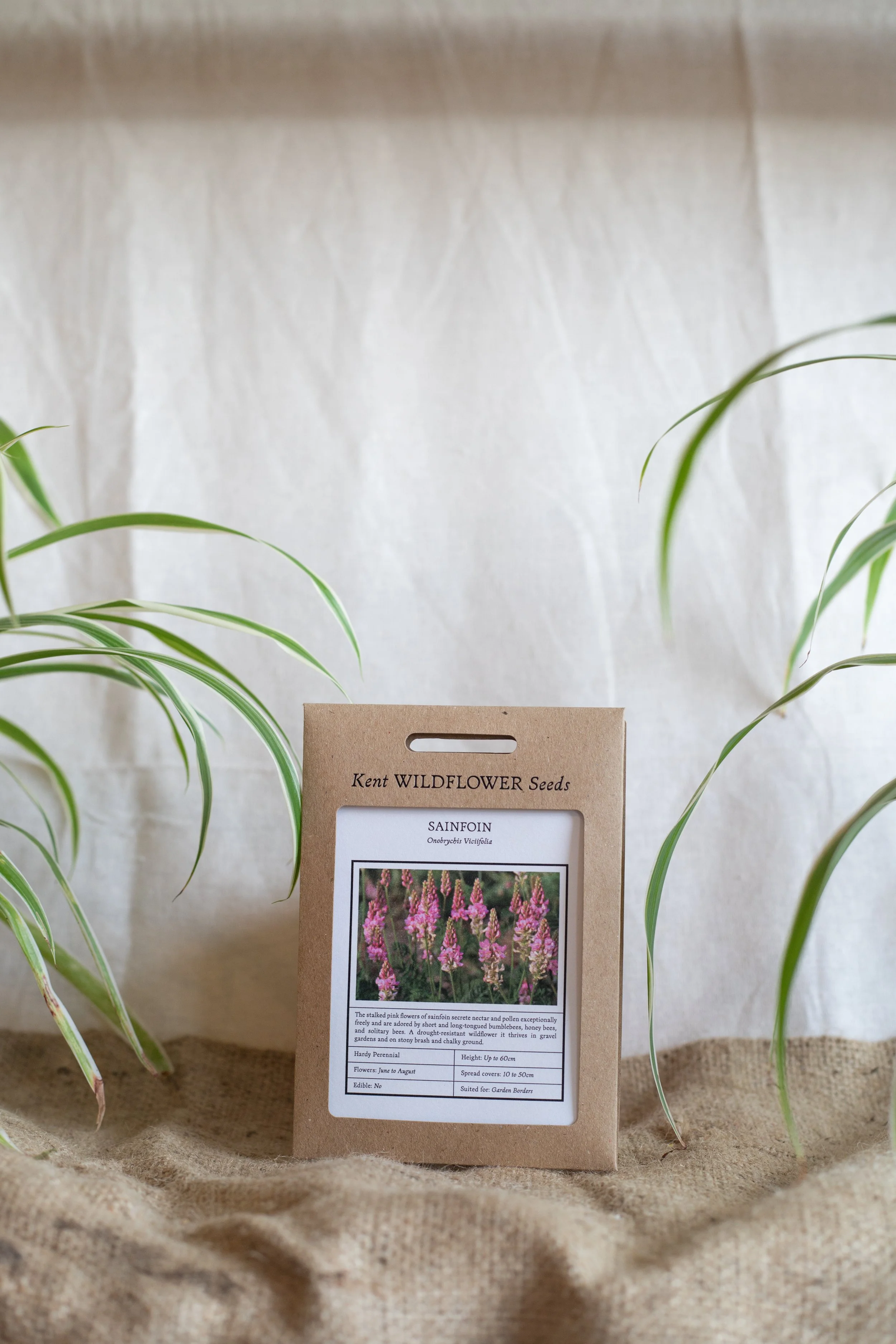 Sainfoin (Kent Wildflower Seeds)