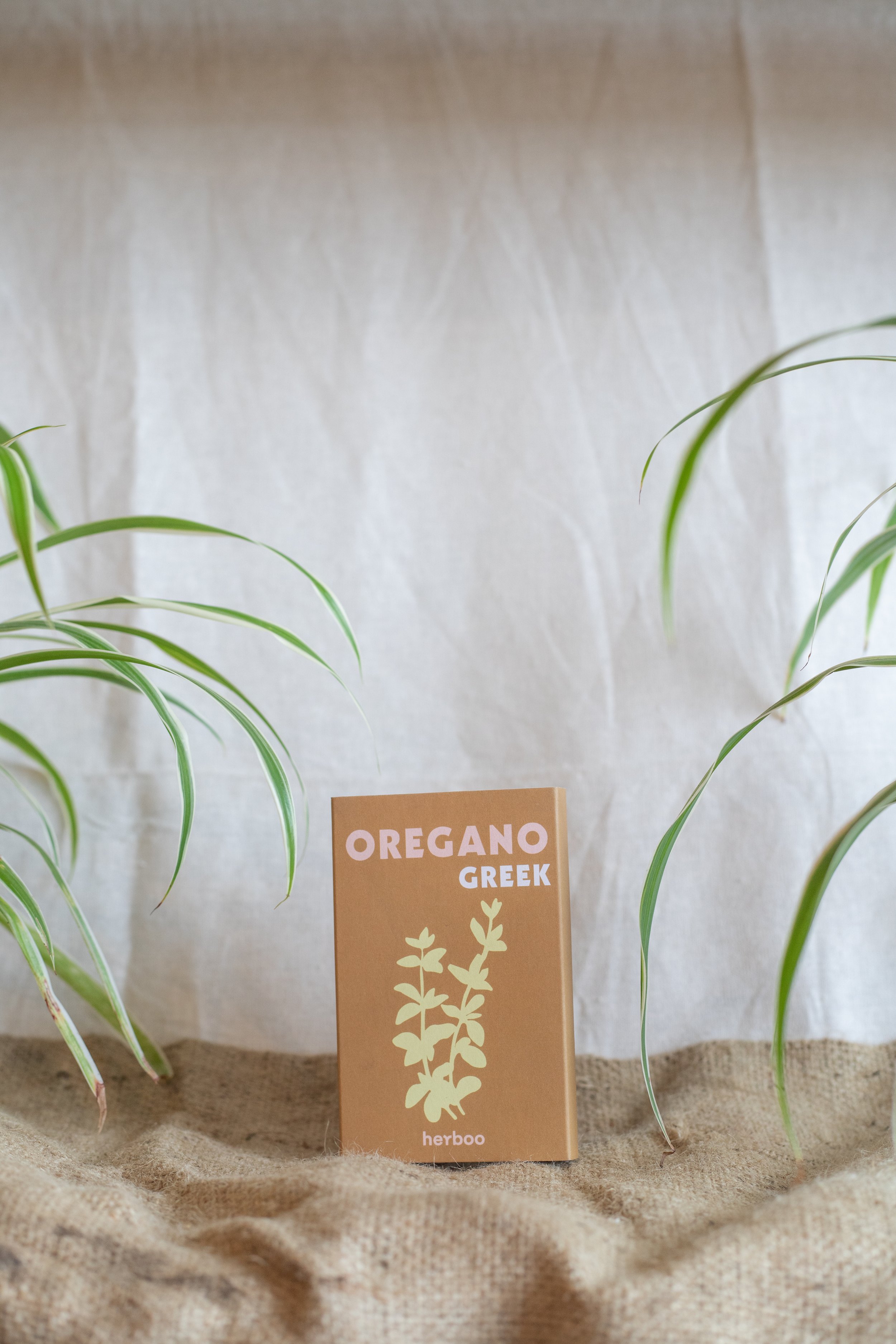 Oregano ‘Greek’ (Herboo)