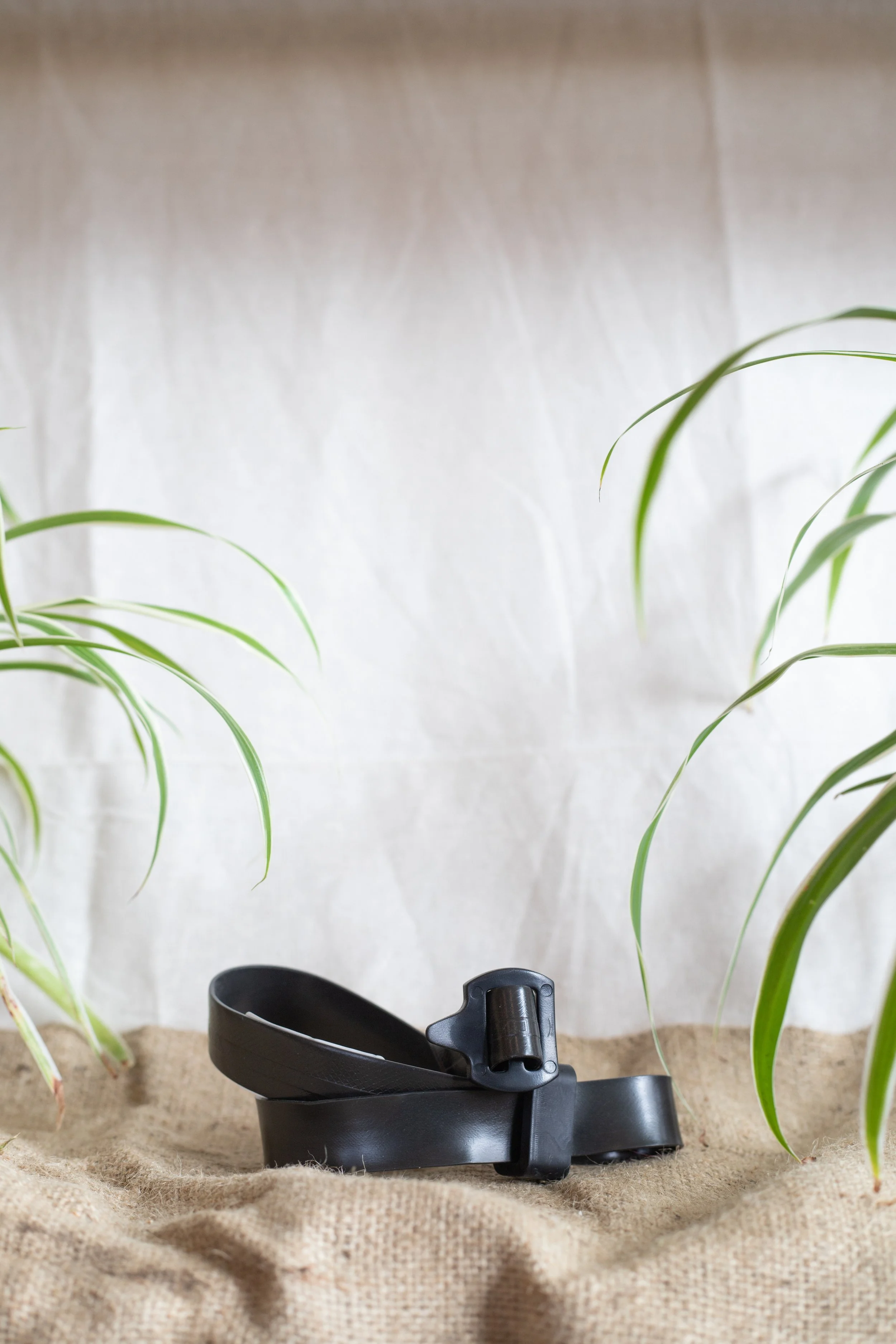 Buckle tree tie (Unknown)