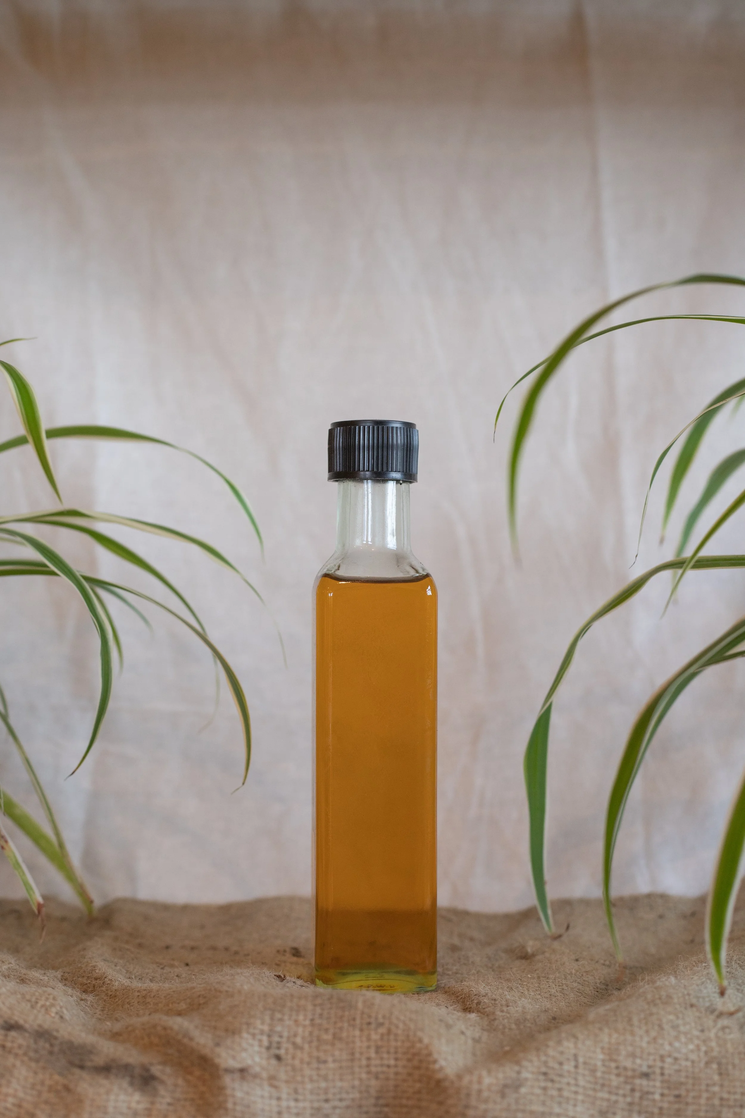 Linseed oil (Sneeboer)