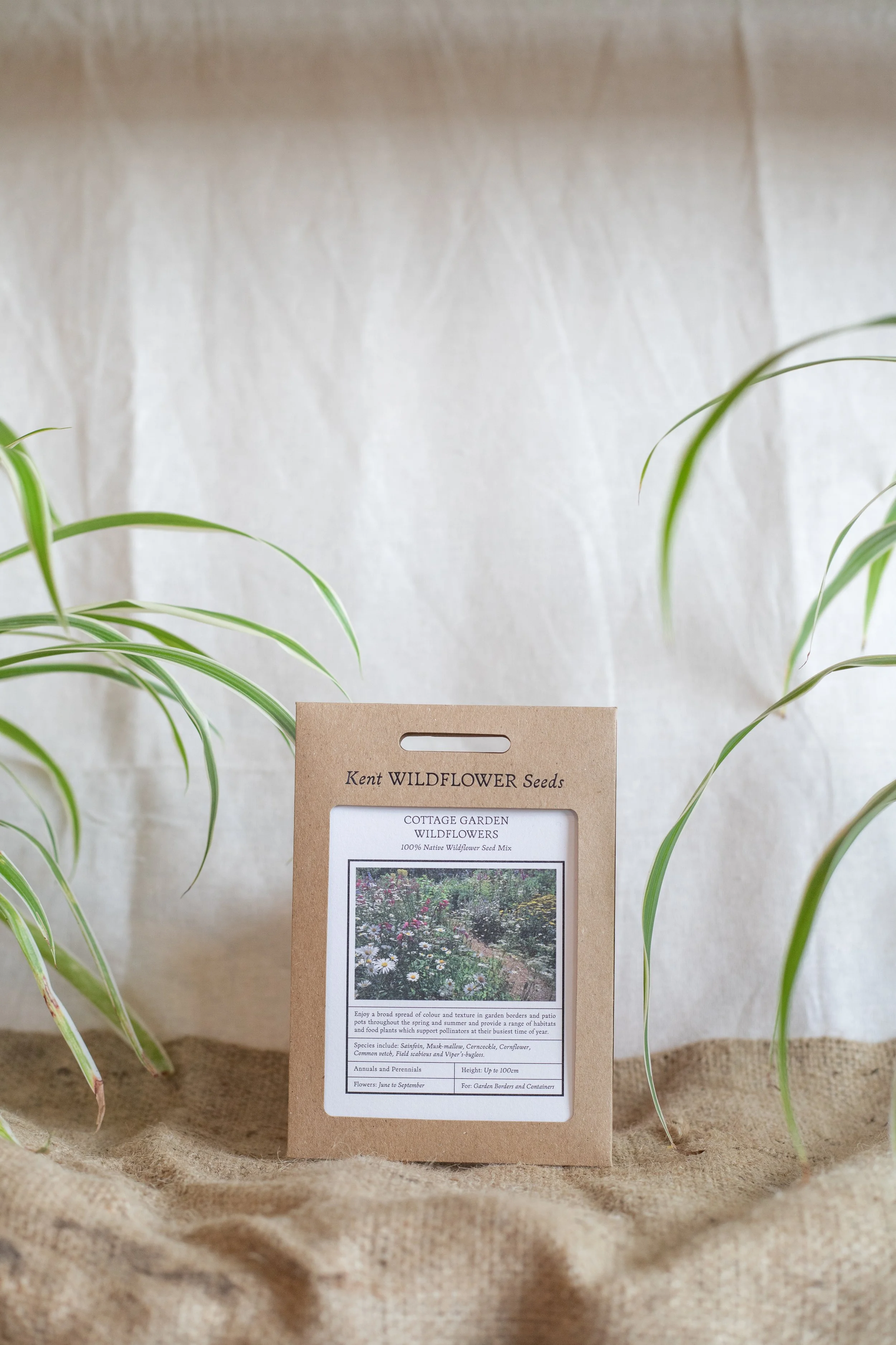 Cottage garden wildflowers (Kent Wildflower Seeds)