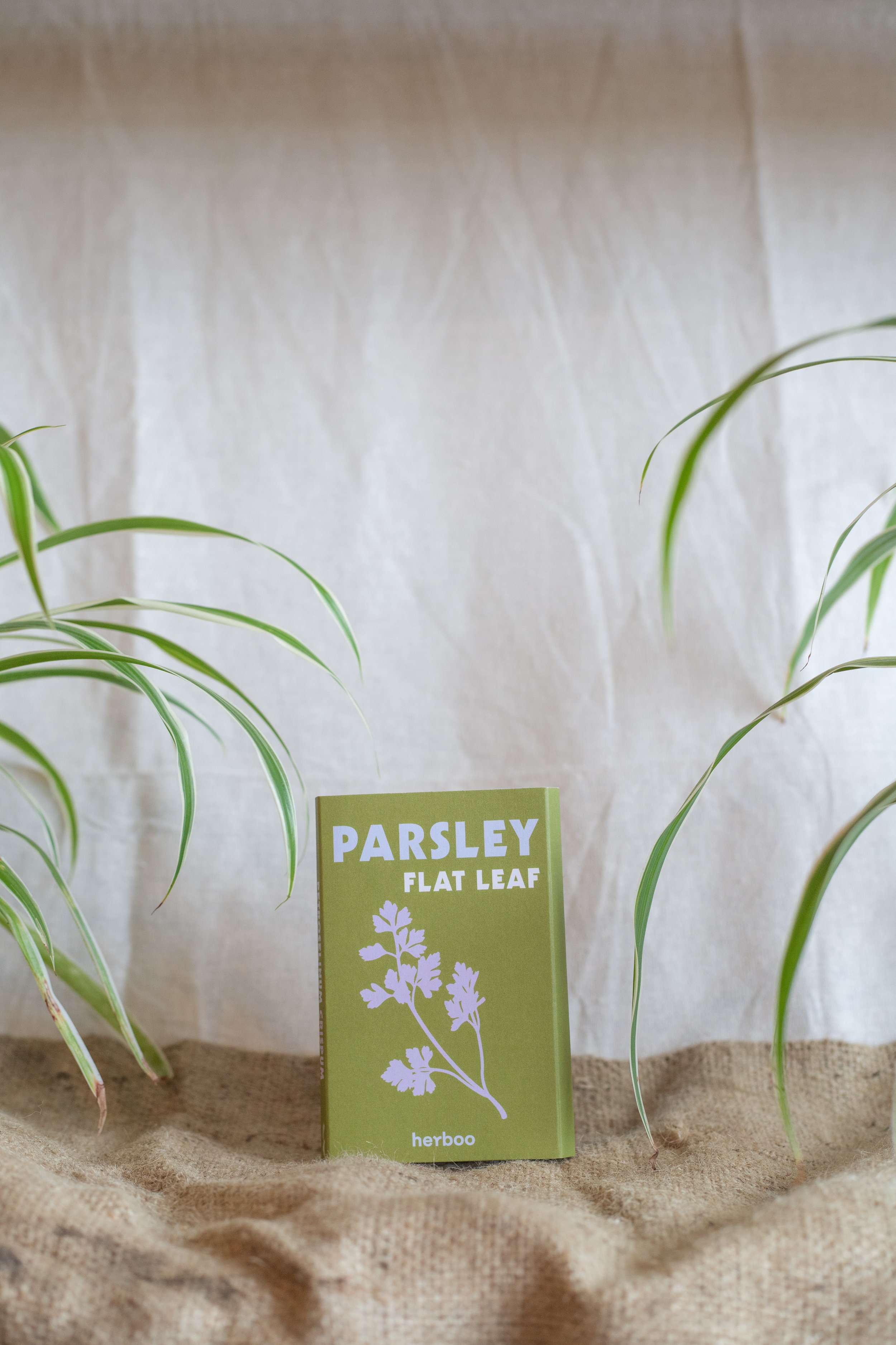 Parsley ‘Flat Leaf’ (Herboo)