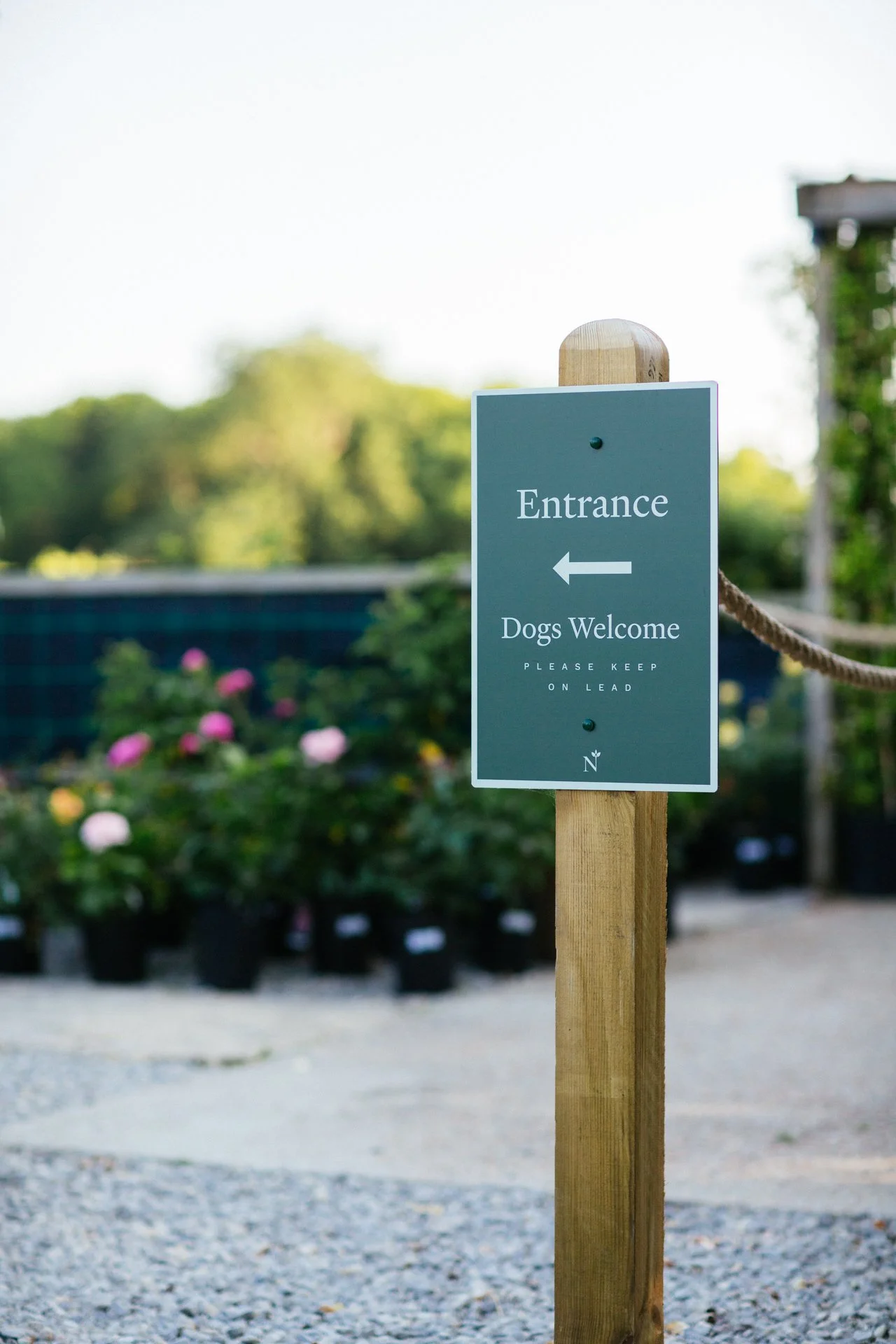 Sign indicating the entrance with an arrow pointing left, stating 'Dogs Welcome, Please Keep On Lead,' outdoors with potted plants and greenery in the background.