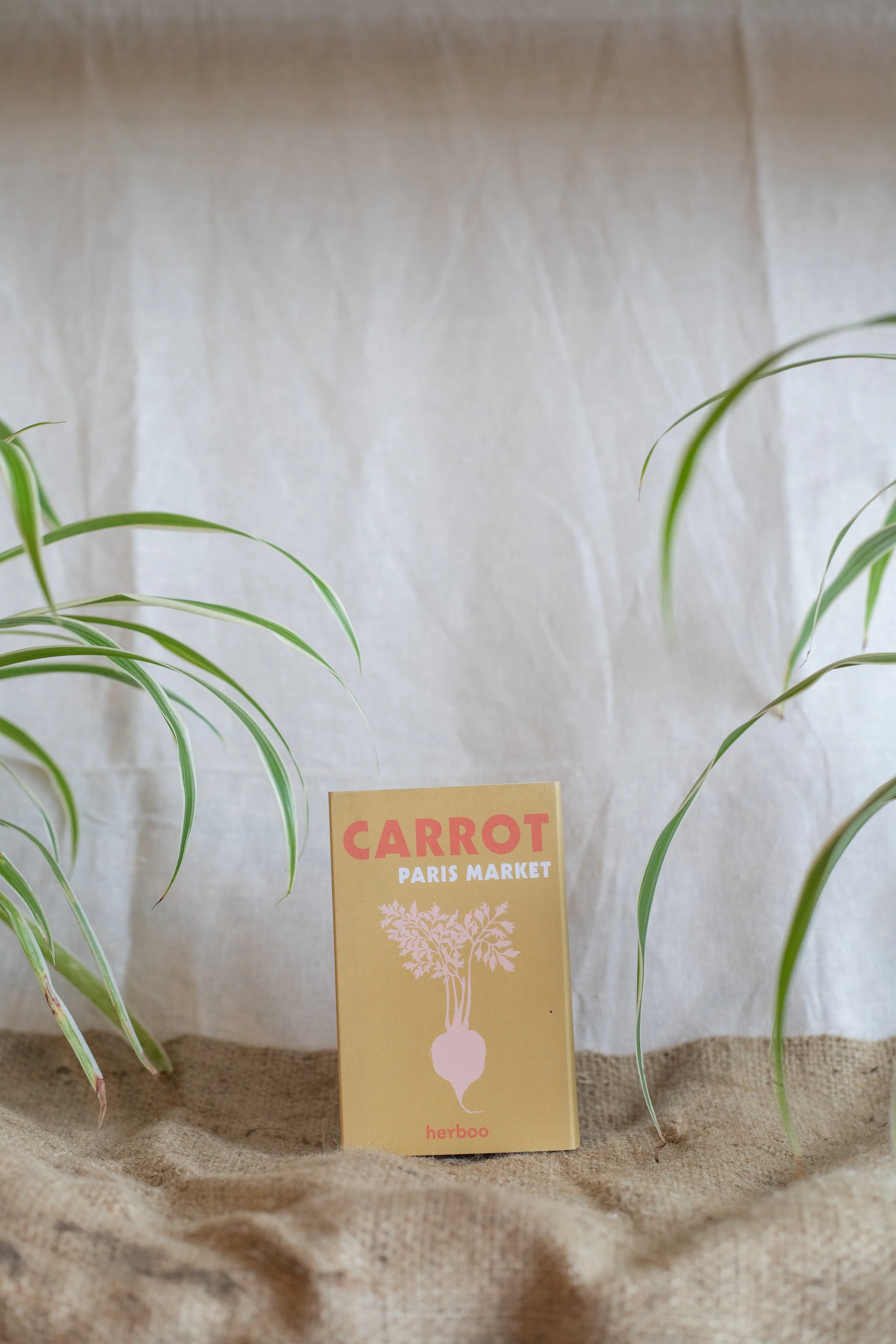 Carrot ‘Paris Market’ (Herboo)