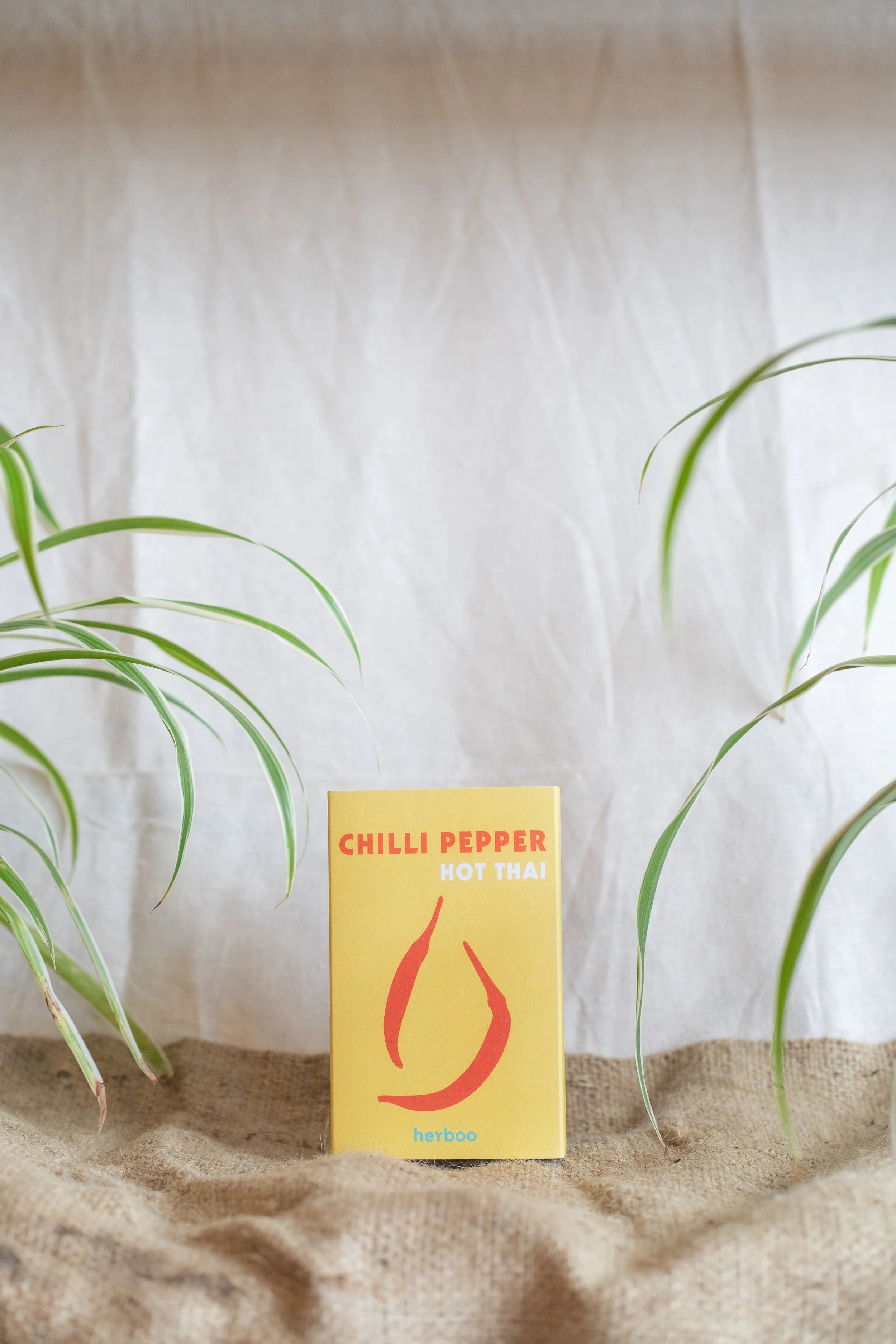 Cilli Pepper ‘Hot Thai’ (Herboo)