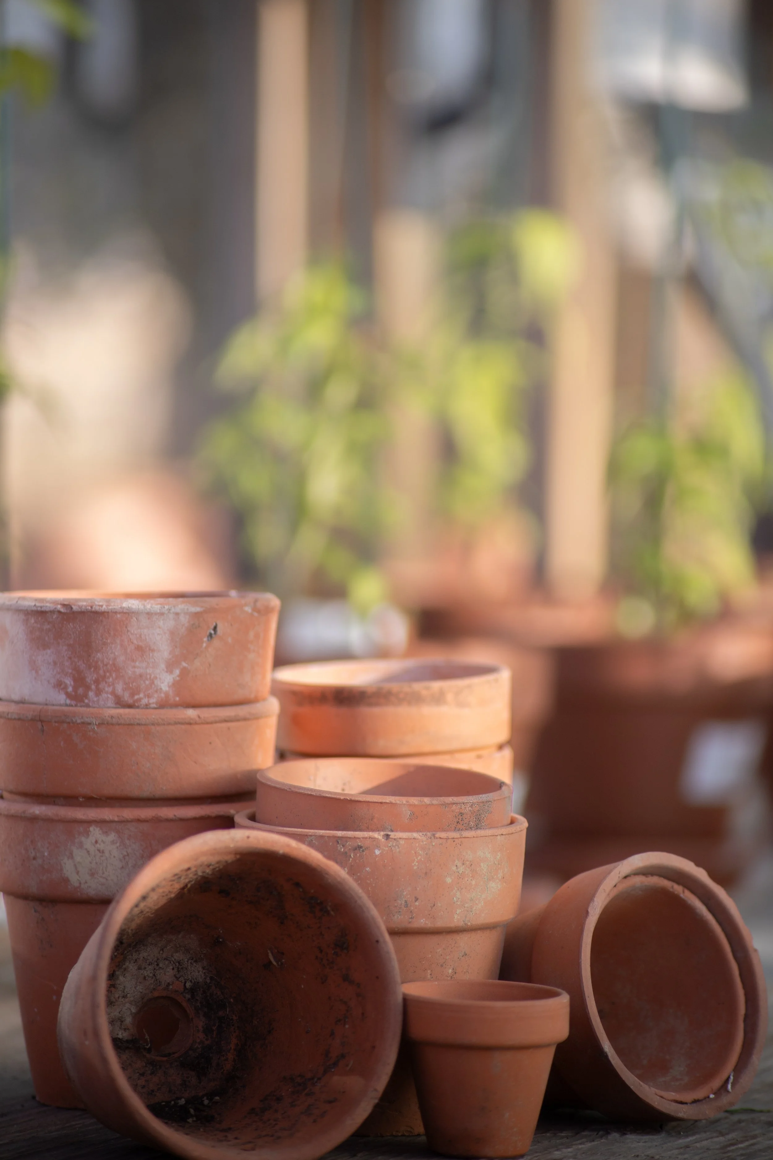 Stacked terracotta plant pots outdoors with blurred greenery in the background.