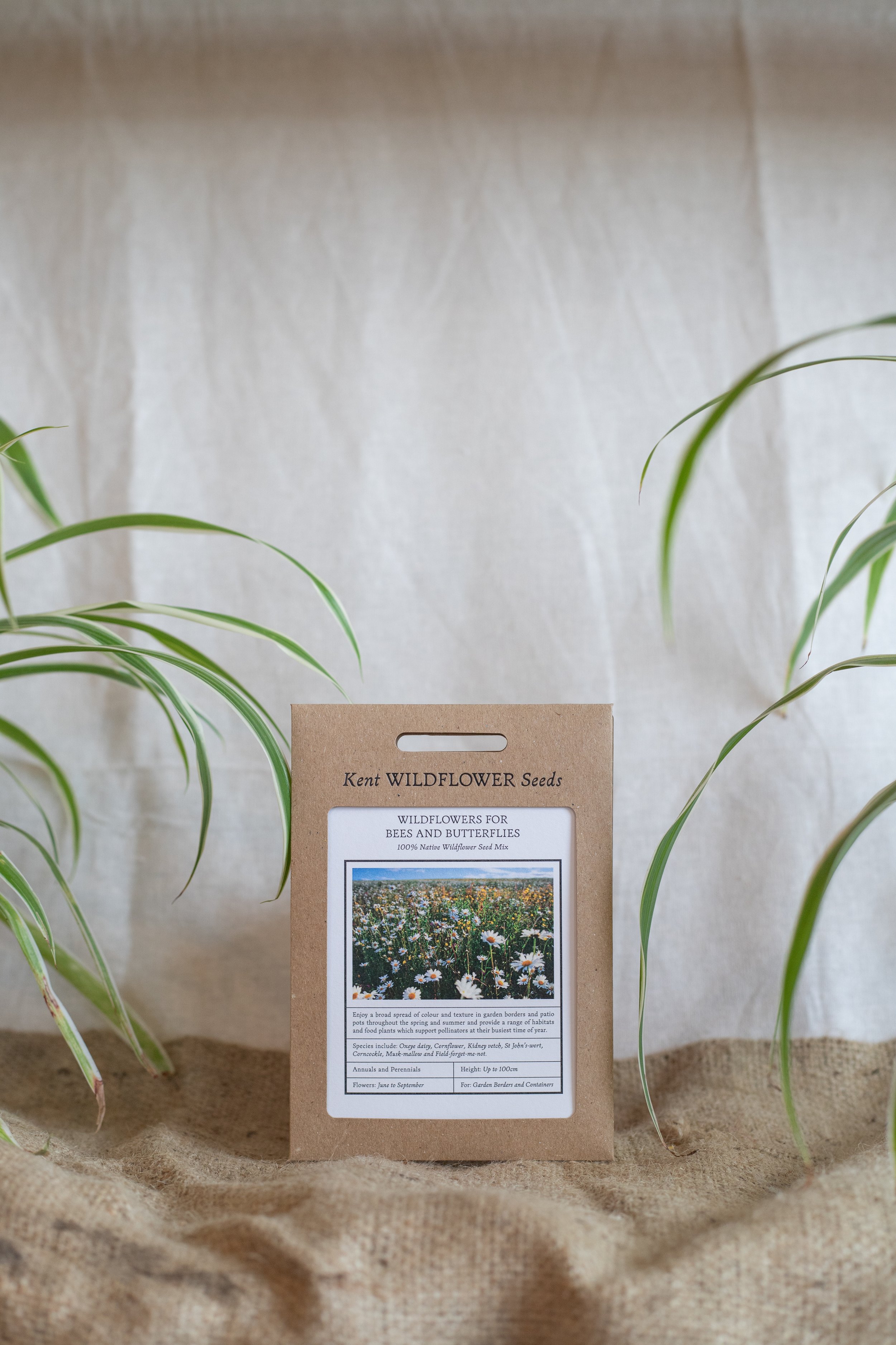 Wildflowers for bees and butterflies (Kent Wildflower Seeds)