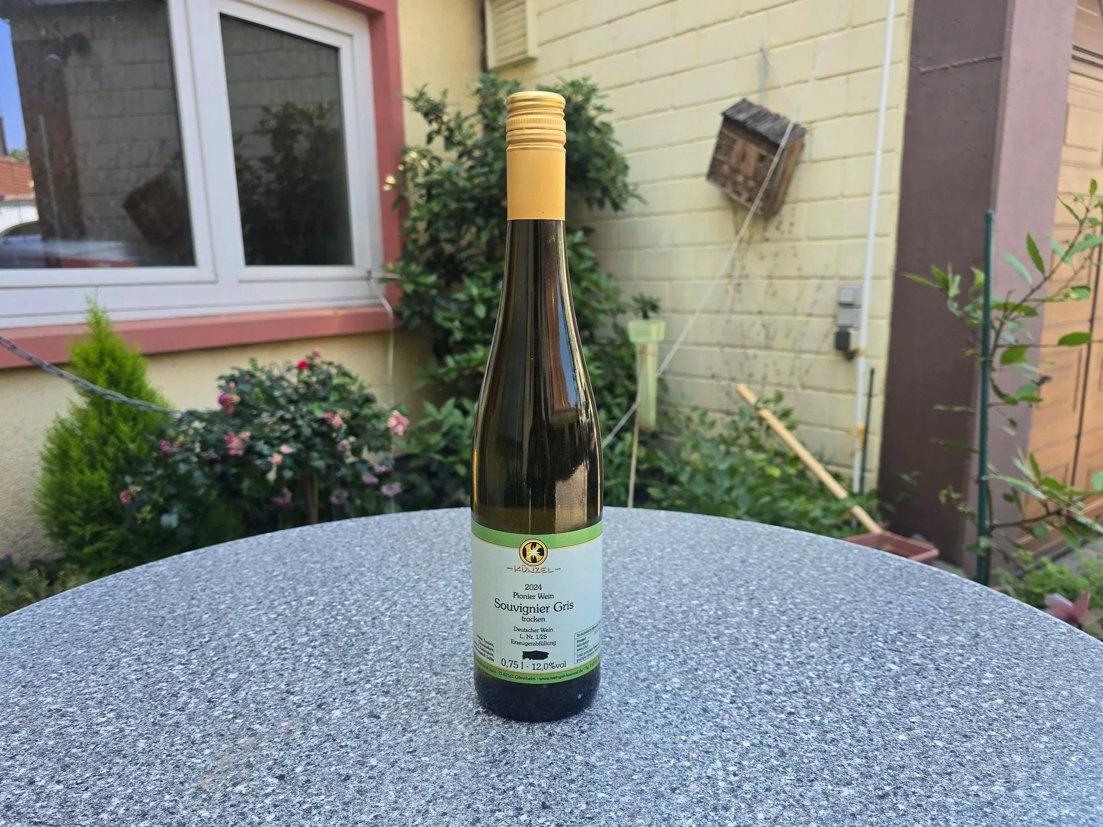 Souvignier Gris trocken