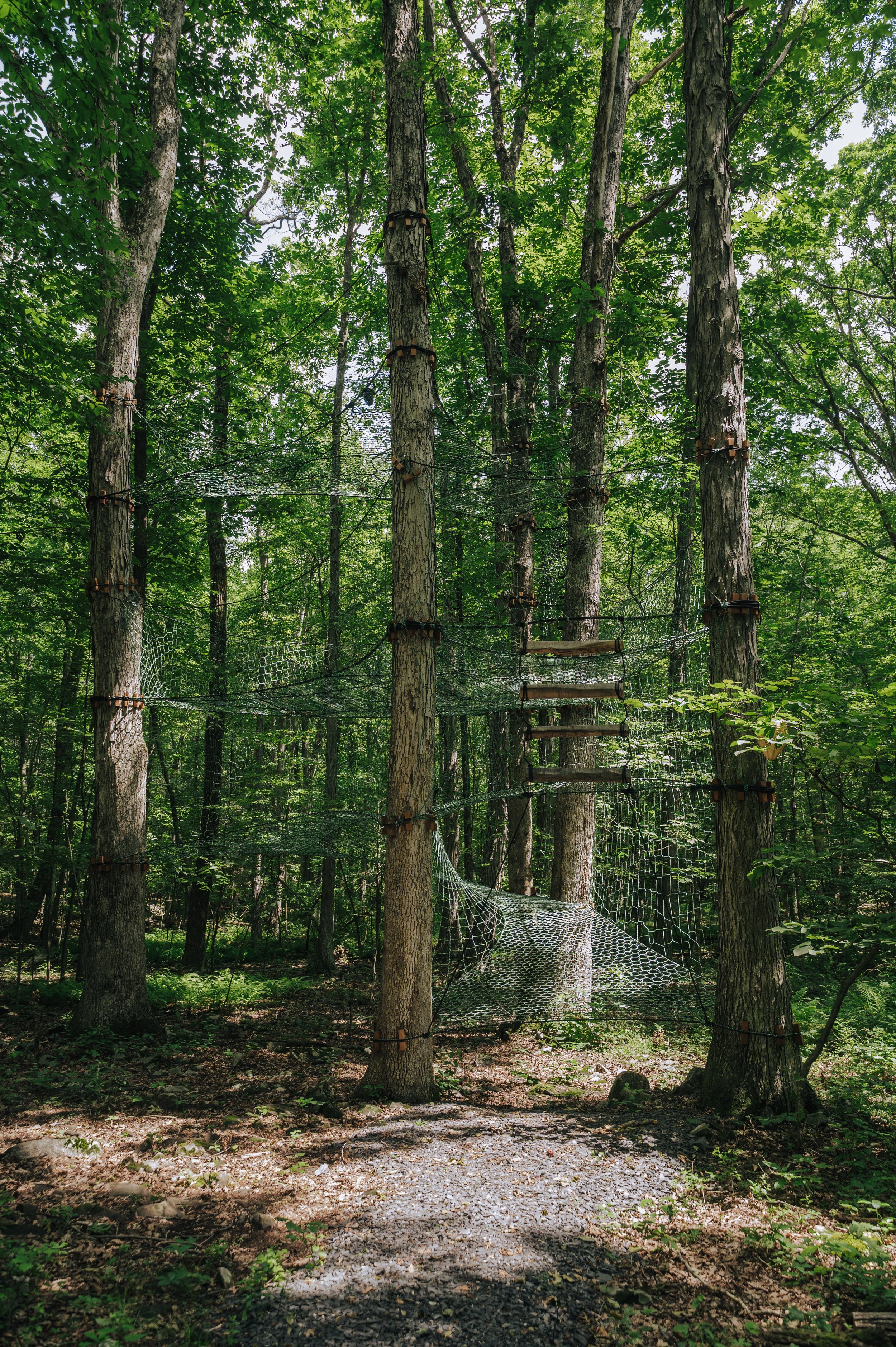 Joyful new perspective awaits in the canopy of our trees. Climb up and through the hand-woven tree net to rest, jump around, or be gently rocked by the breeze.