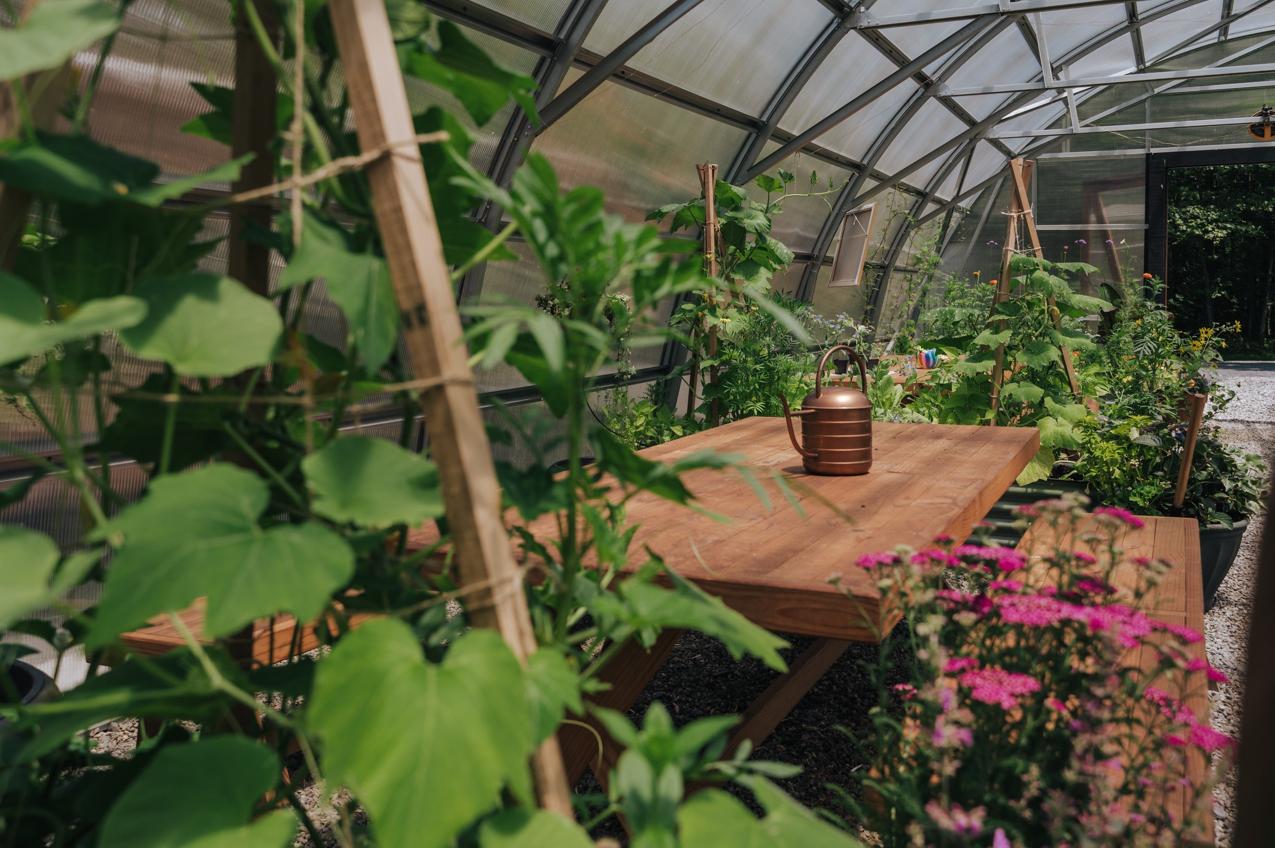 greenhouse.jpg