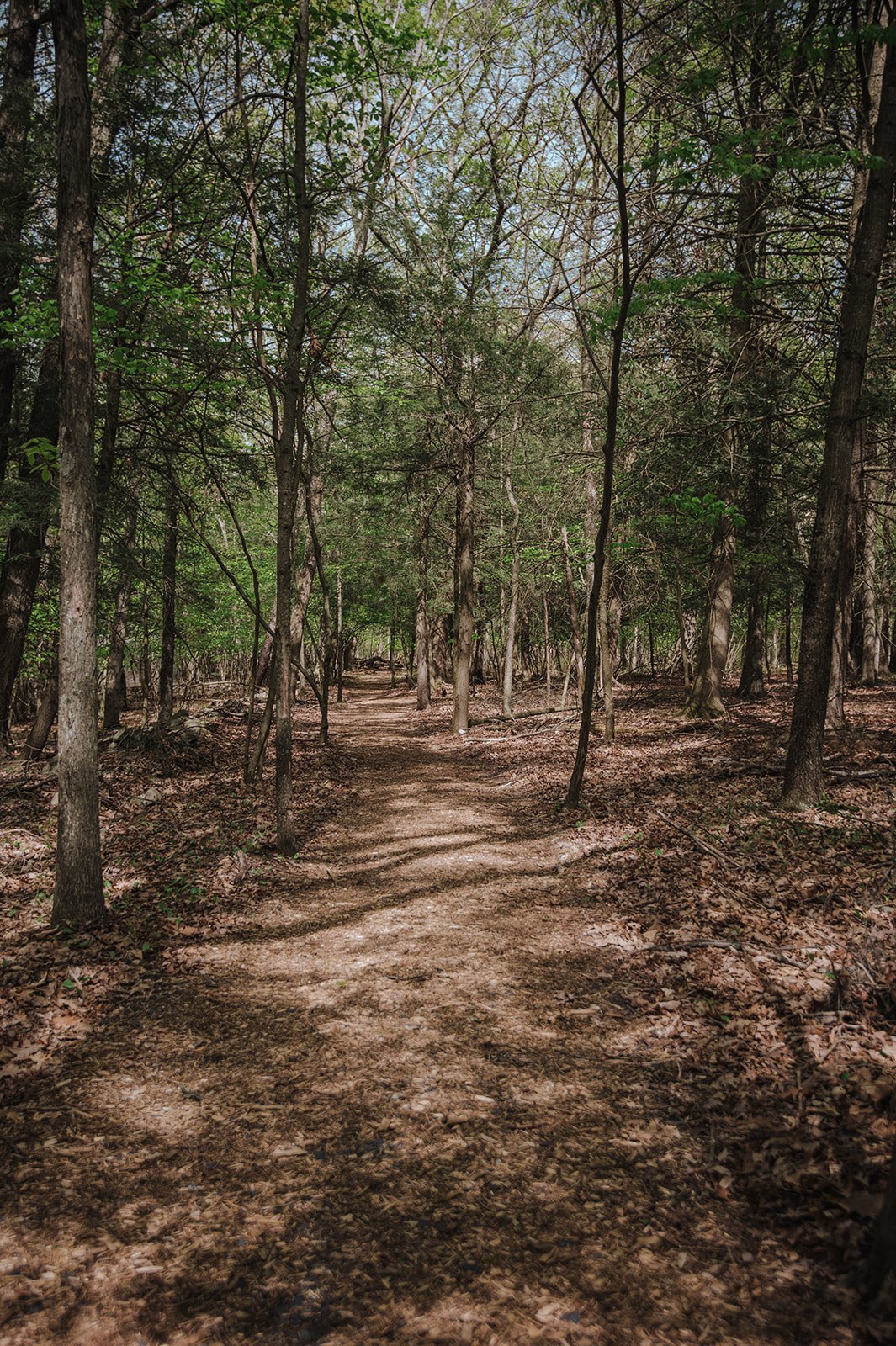 Our lovingly tended meditation trails encircle the property and offer a means of active integration and contemplation, quieting the mind surrounded by nature, and encountering sacred art installations along the way.