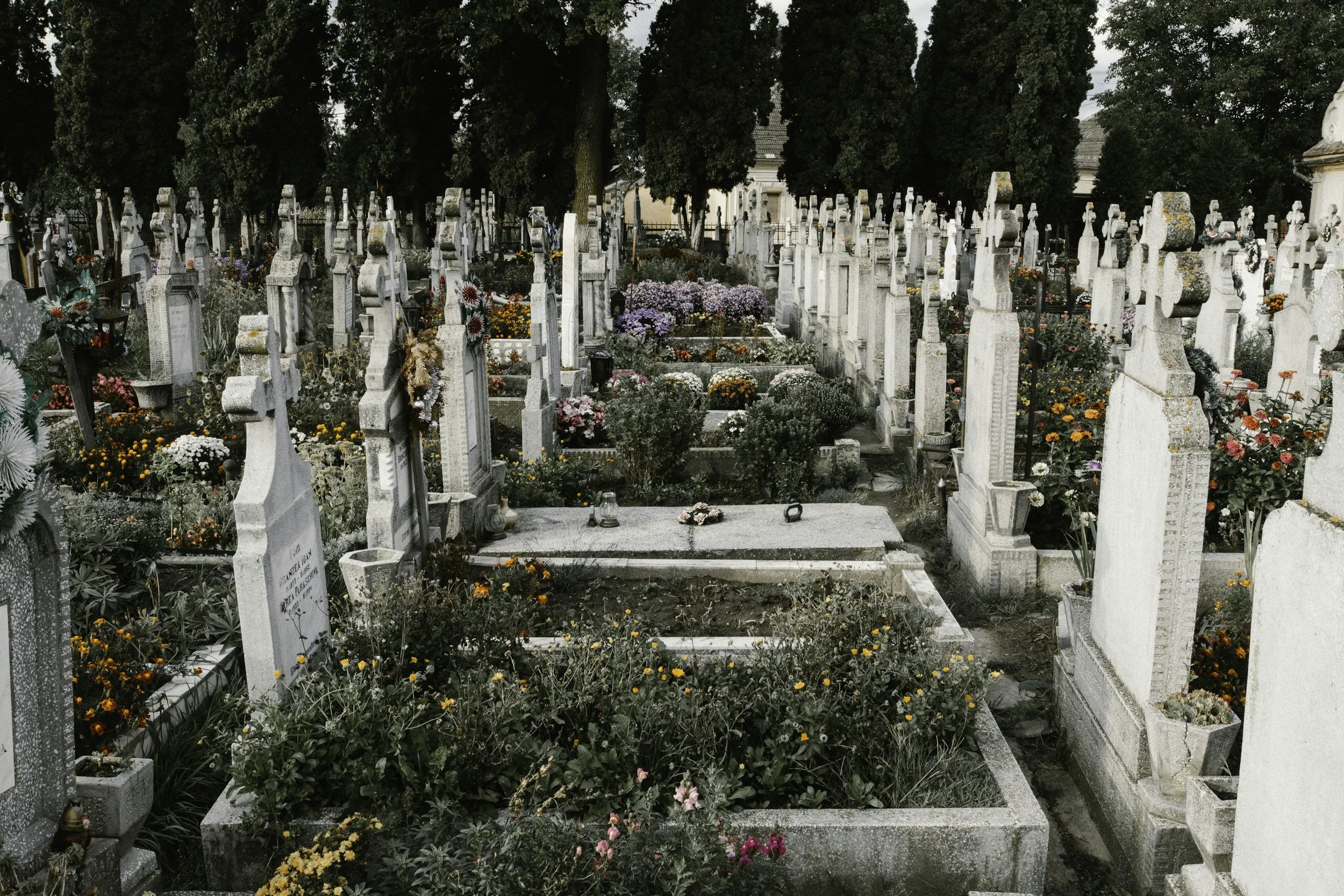 Cemeteries That Whisper: Tales from Tombstones and Mausoleums