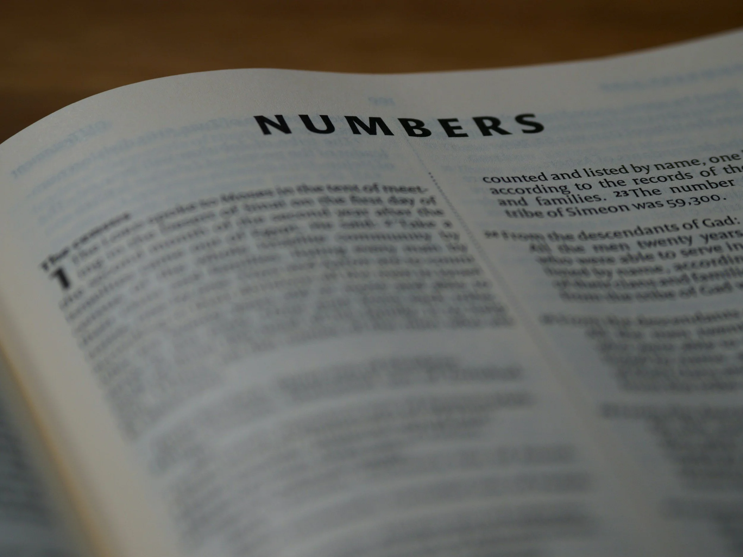 Life Path Numbers & Modern Magic: Why Numerology is Trending Again