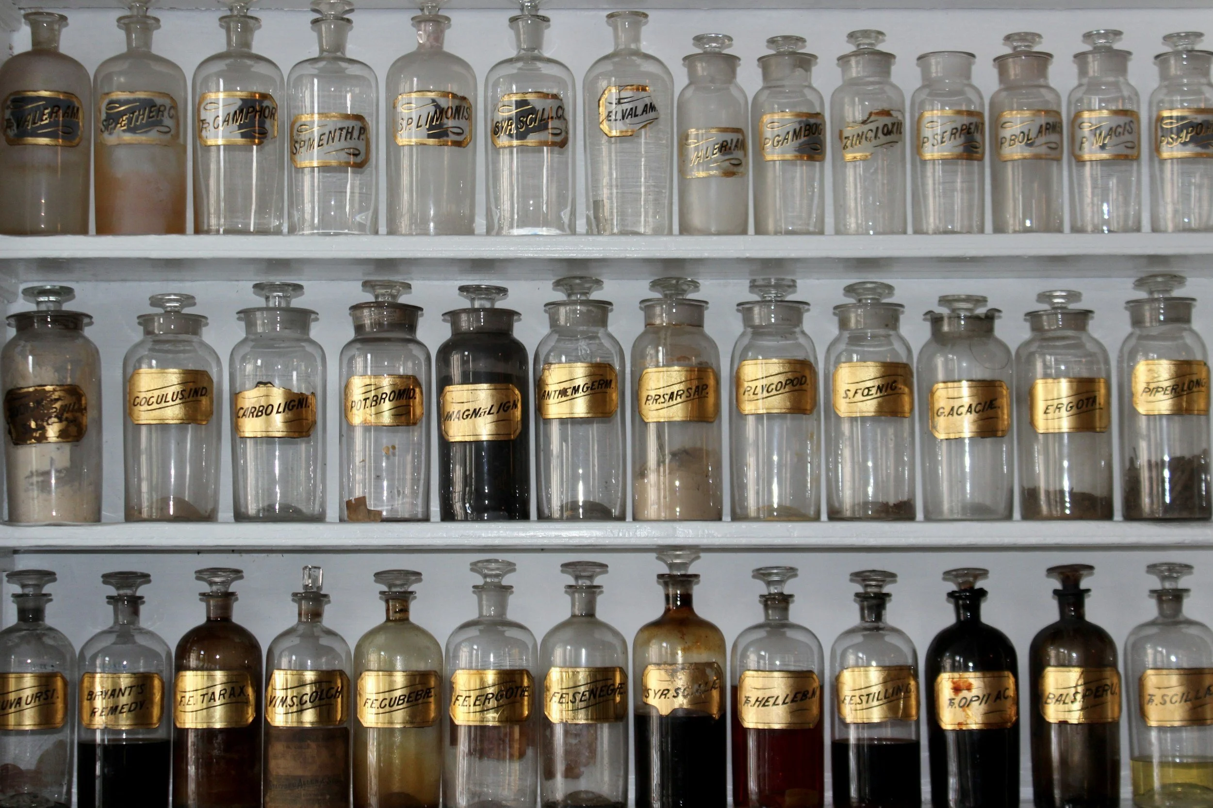 How to Build a Witch’s Herbal Apothecary (Even on a Budget)