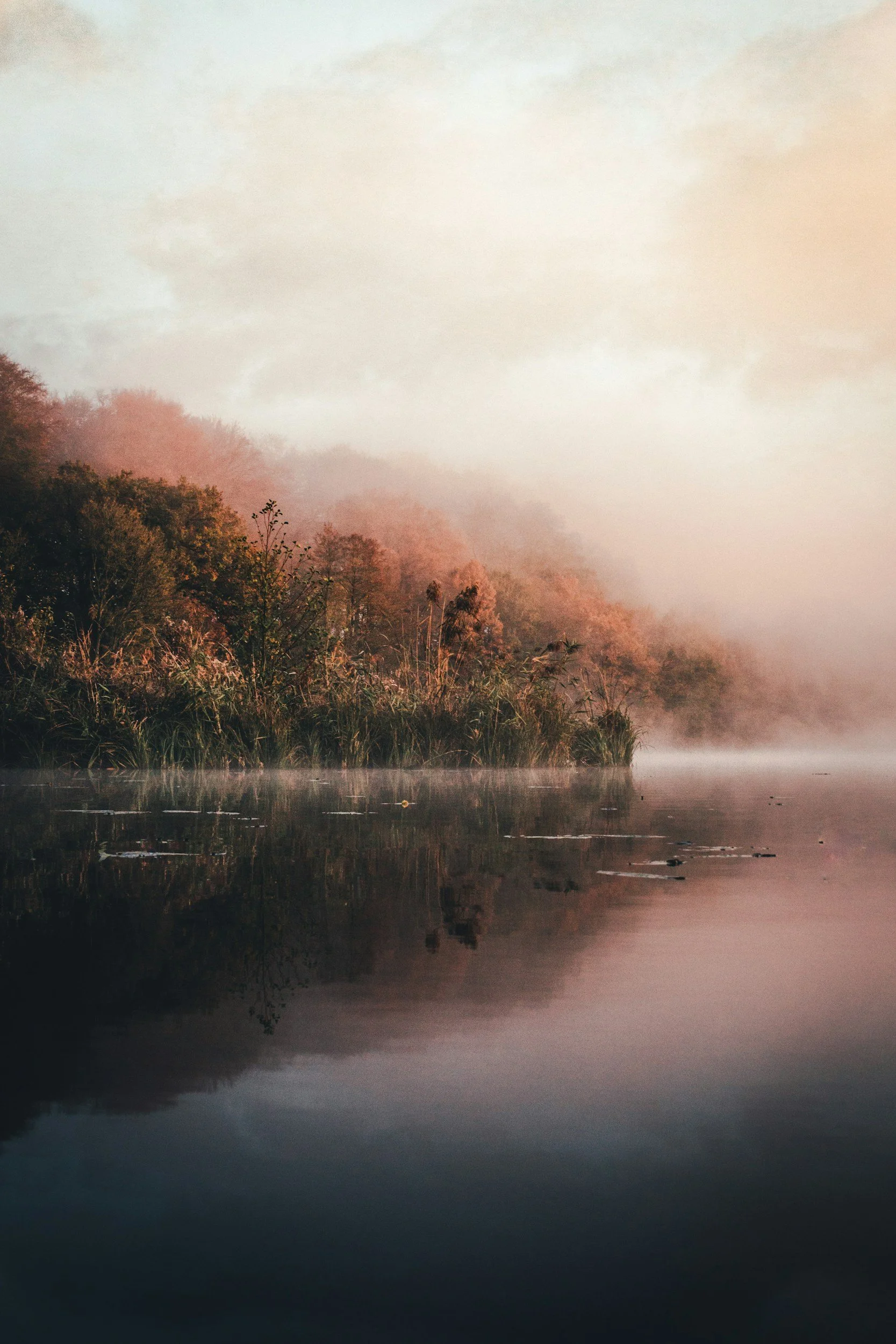 The Five Elements in Witchcraft: Meanings & Magic