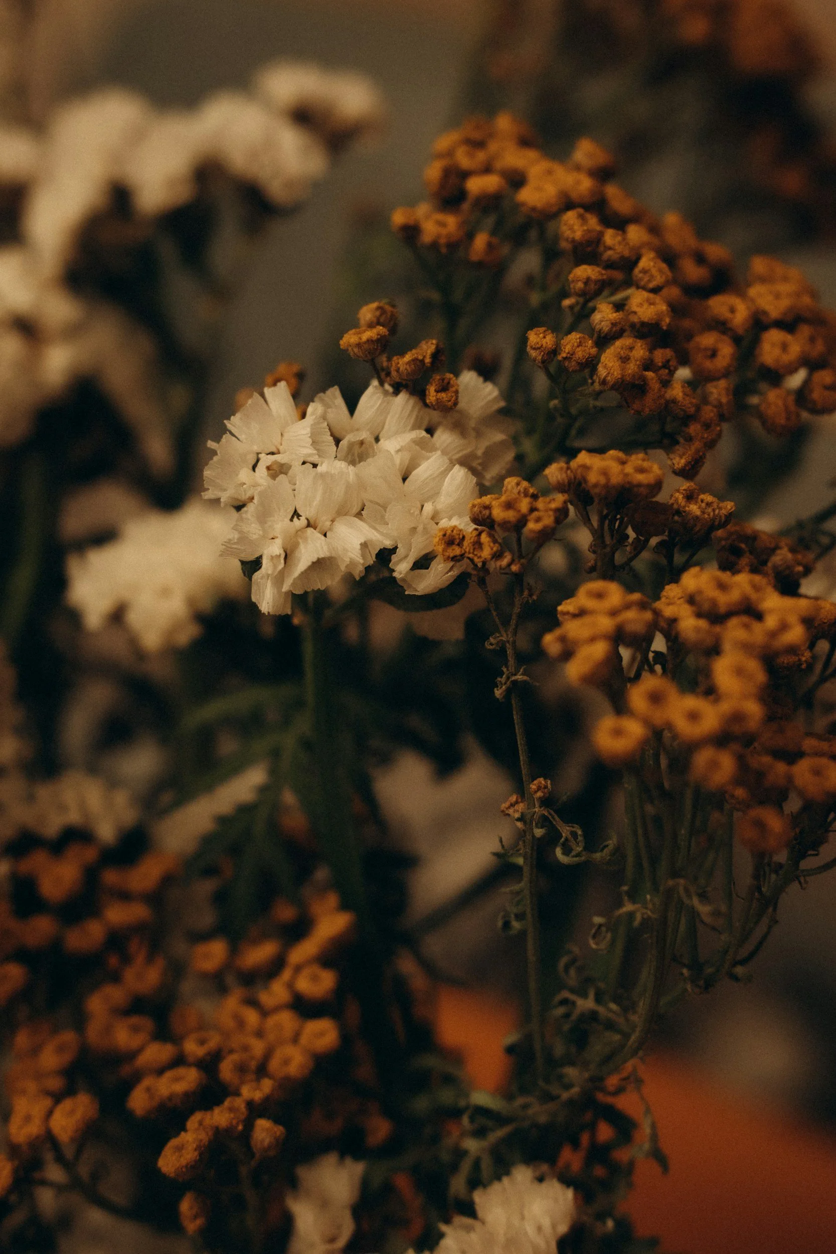 Flowers Archive