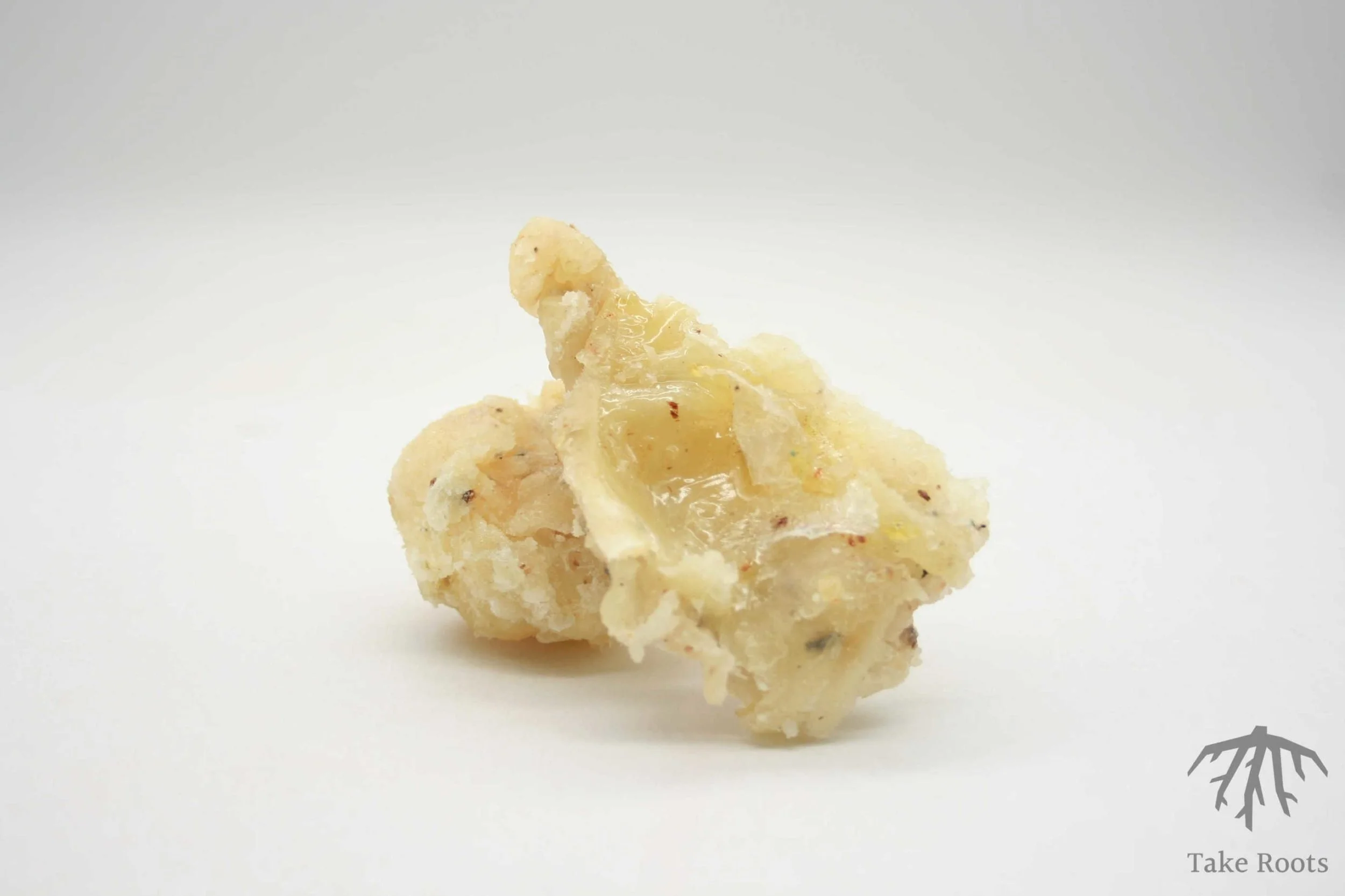Elemi: The Airy Resin of Clarity and Purification