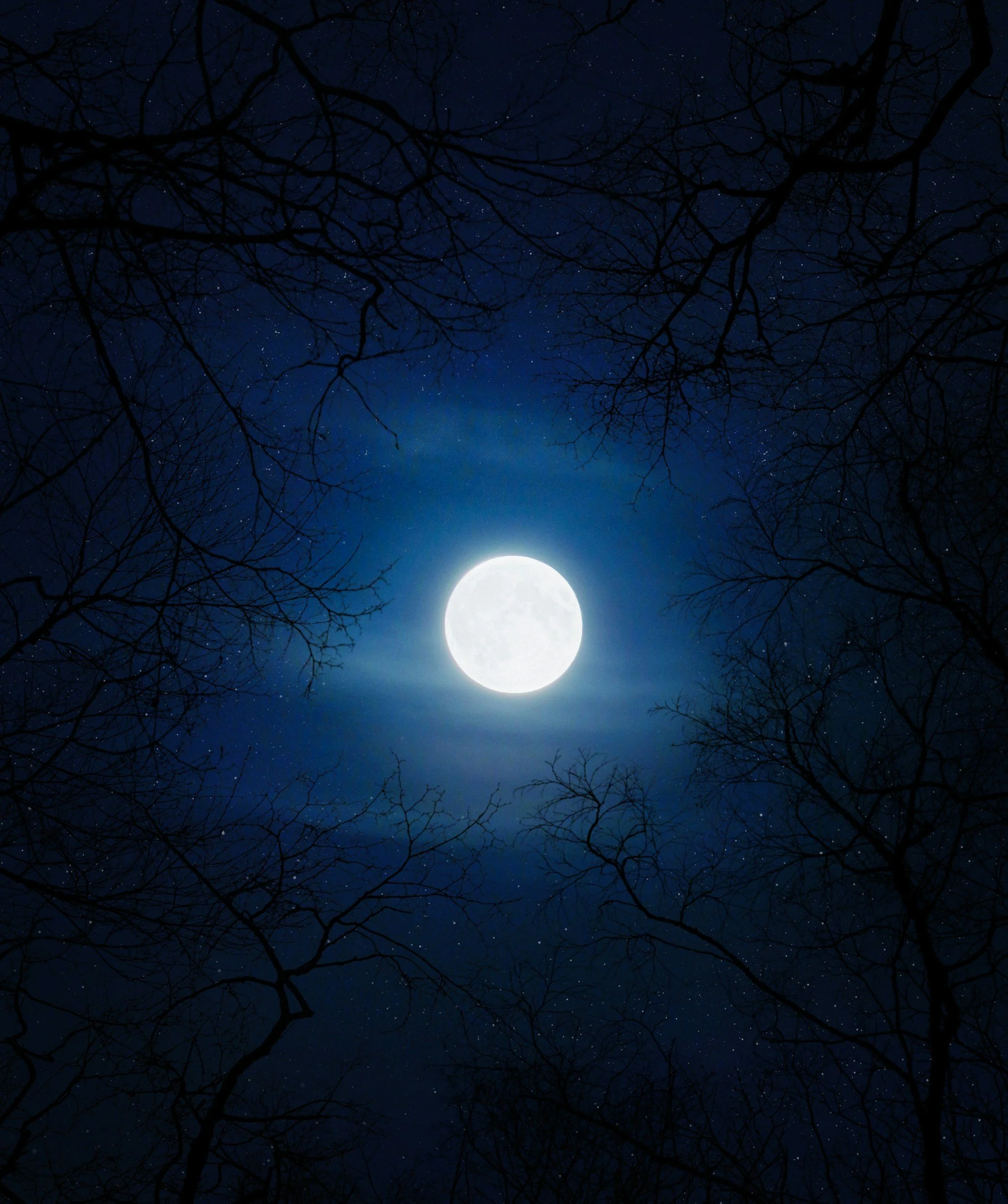 blue moon above trees
