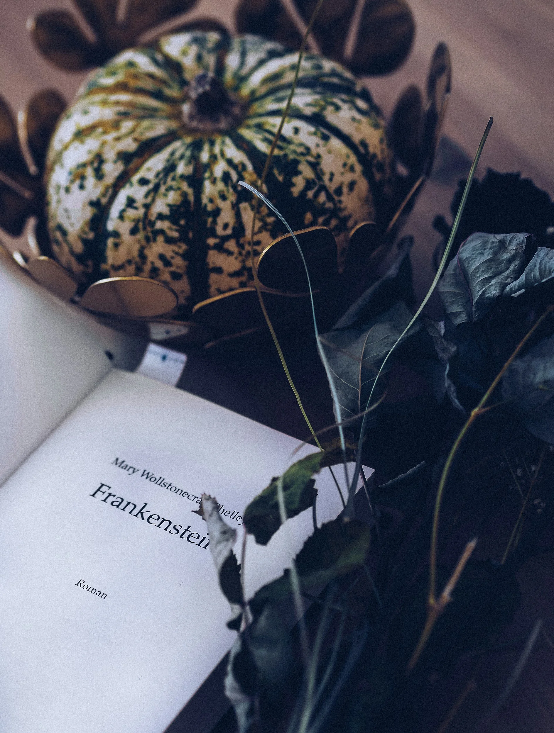 An open book displaying the title 'Frankenstein' by Mary Wollstonecraft Shelley, surrounded by dried leaves and a decorative pumpkin with green and yellow speckles, set against a dark background.