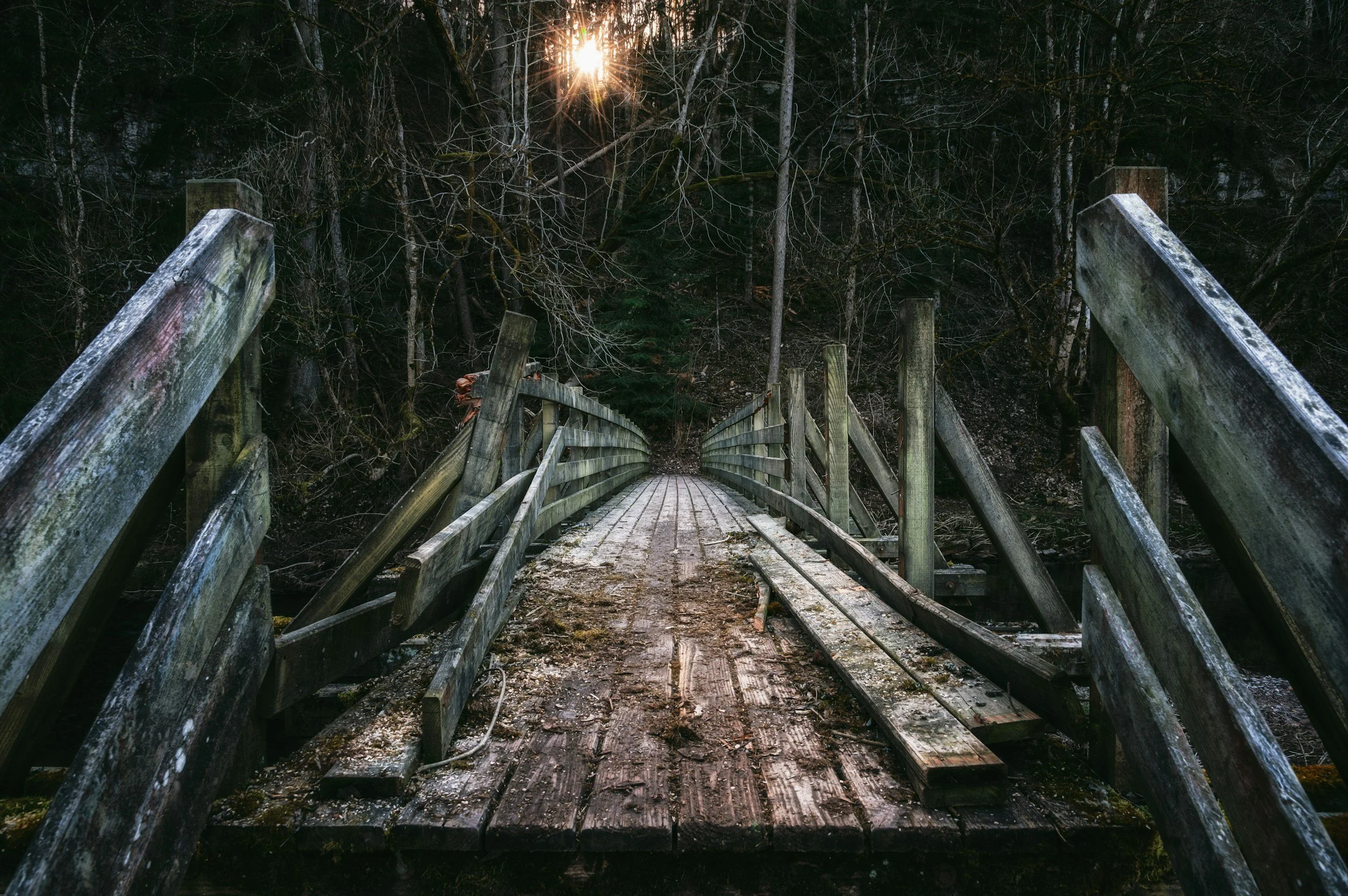 An old wooden bridge leading into a forest, with the sun shining through the trees in the background.