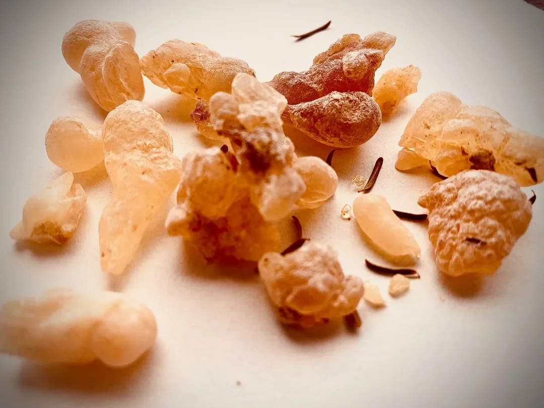 Tolu Balsam: Venus’s Balm of Love and Soothing