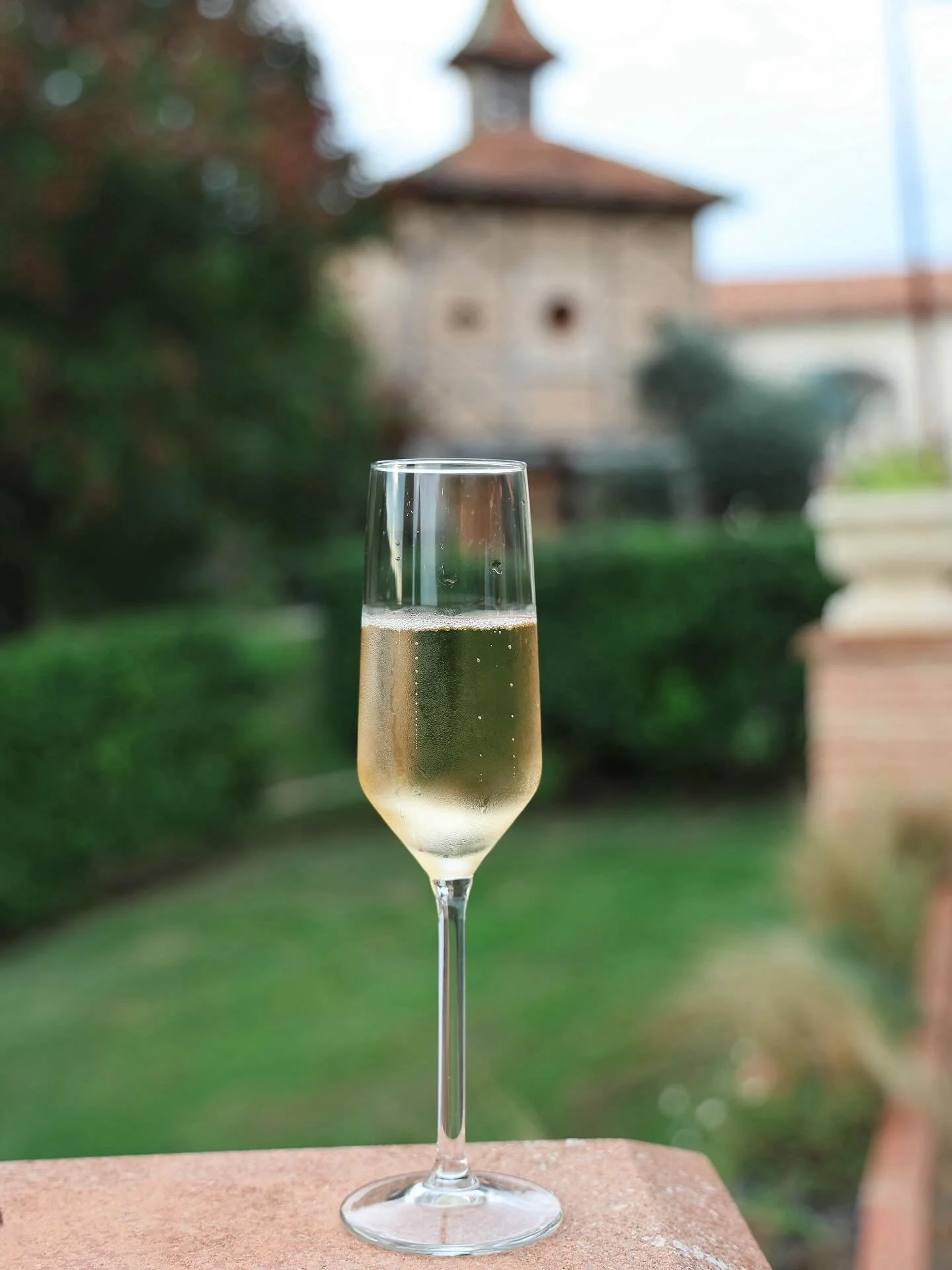 Champagne, white ceremony, cypress alley, a reception under the South West light.

🐠 

Venue &amp; catering : Domaine de la T&eacute;ouli&egrave;re
Flowers : @auteurdefleurs 

_
Photographe Mariage Toulouse Sud-Ouest Wedding Destinations
