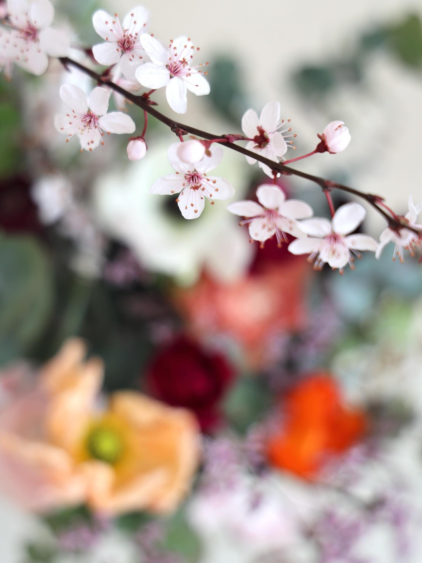 Spring shine is about to be back.
- flowers selection by @poppyfigue 

🐠

_
Photographe Mariage Toulouse Sud-Ouest France Editorial Wedding Photography Destinations