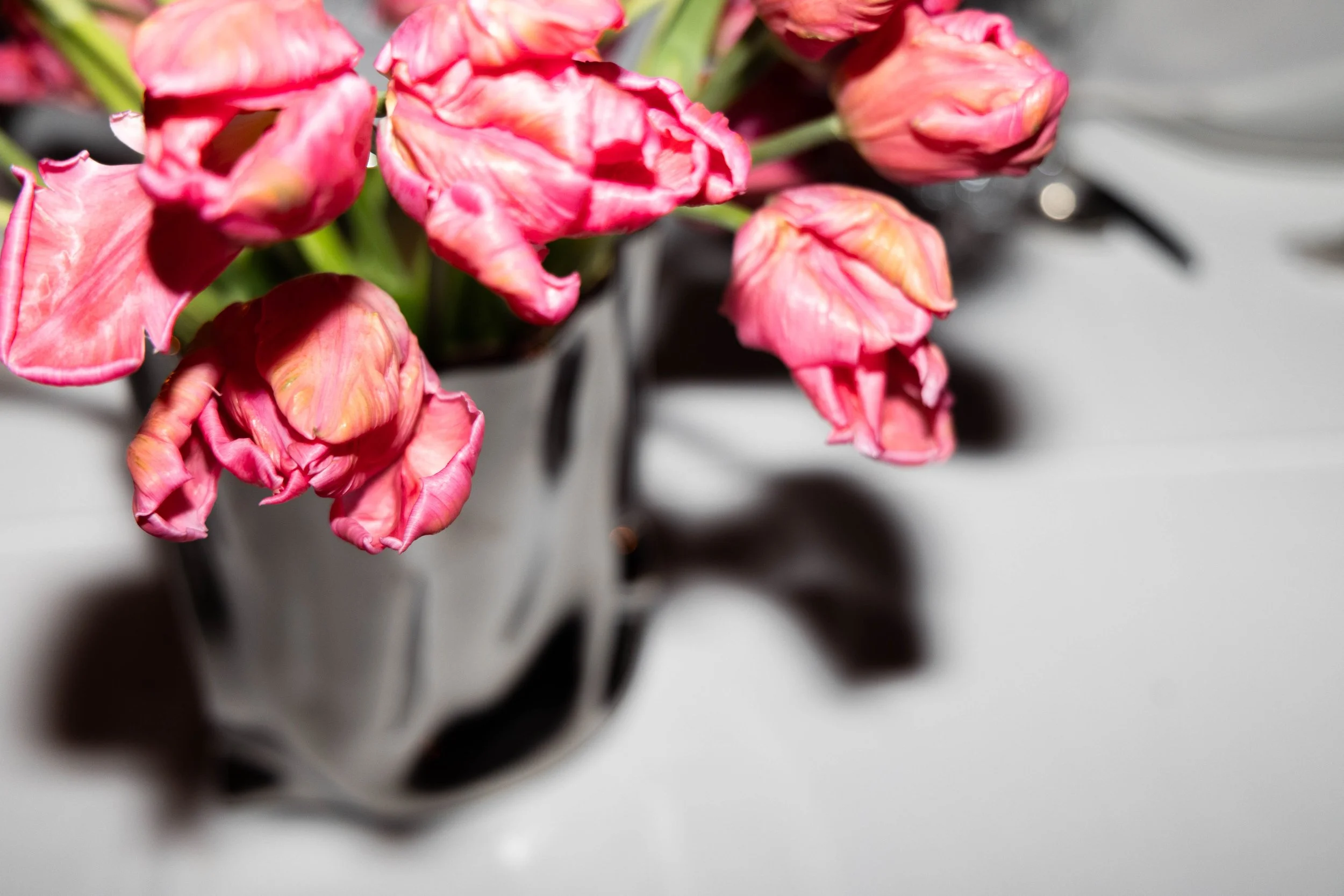 Photographer Wedding Destination Mariage Occitanie Toulouse Sud-Ouest Editorial Catalonia4.jpg