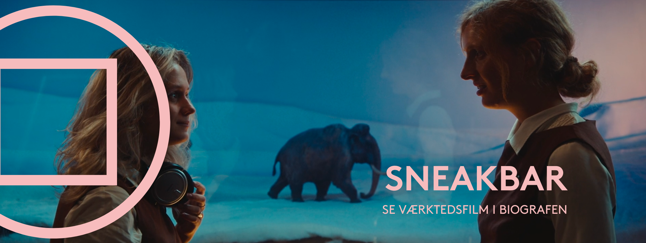 Karoussel til hjemmeside.png