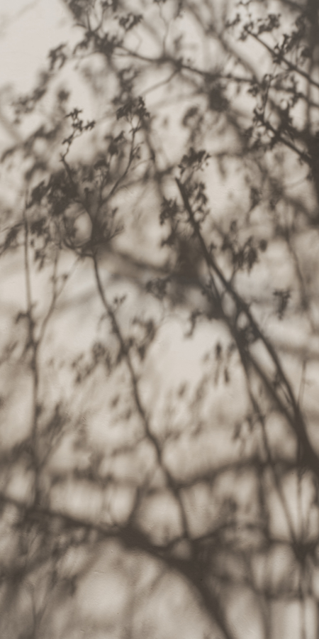 20.png