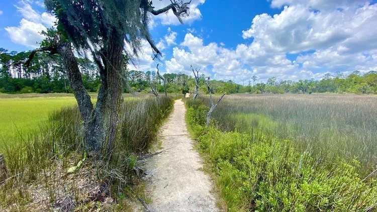 b24c0637110a4e701e768eefd8ed4c929fc5facb95ee7ce00ac37fea36e2528b-750 (1).jpeg